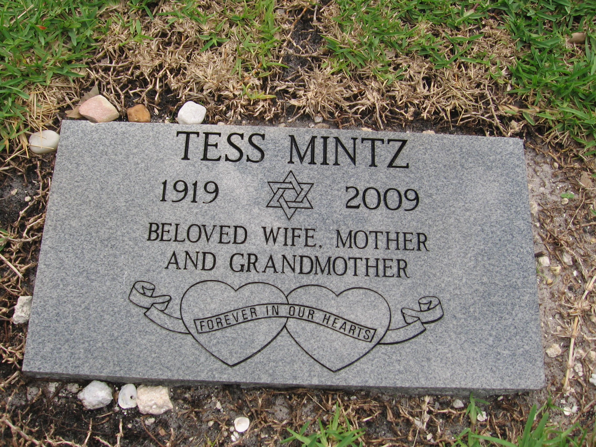 Tess Mintz
