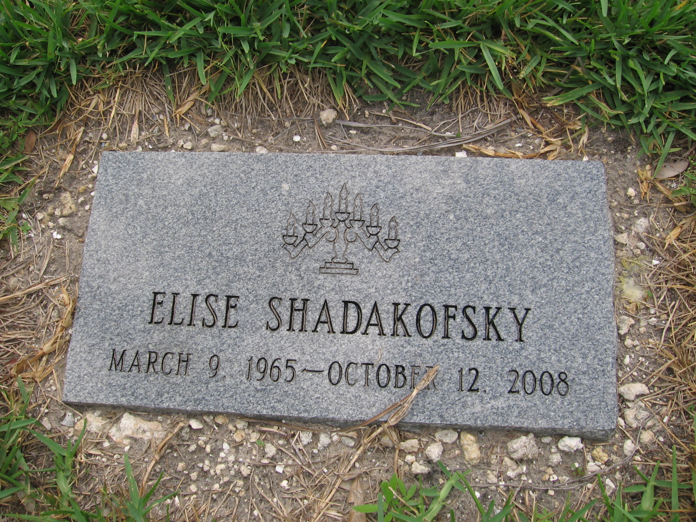Elise Shadakofsky