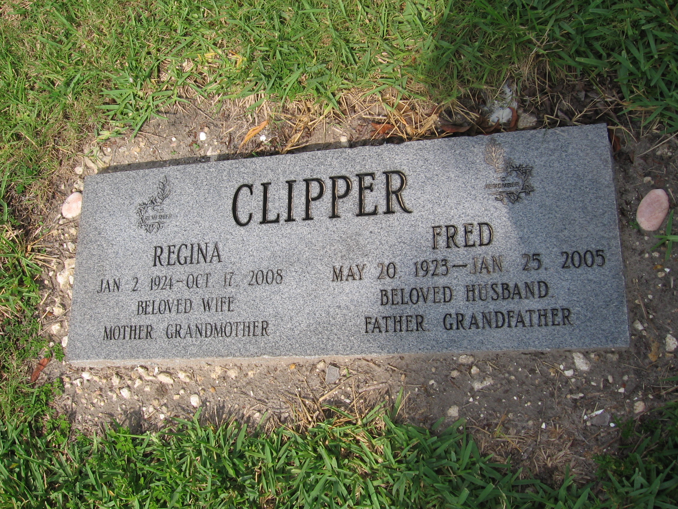 Regina Clipper