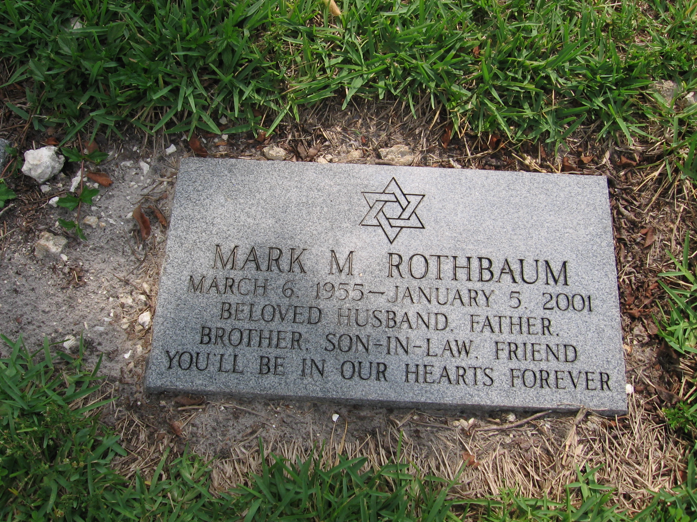 Mark M Rothbaum