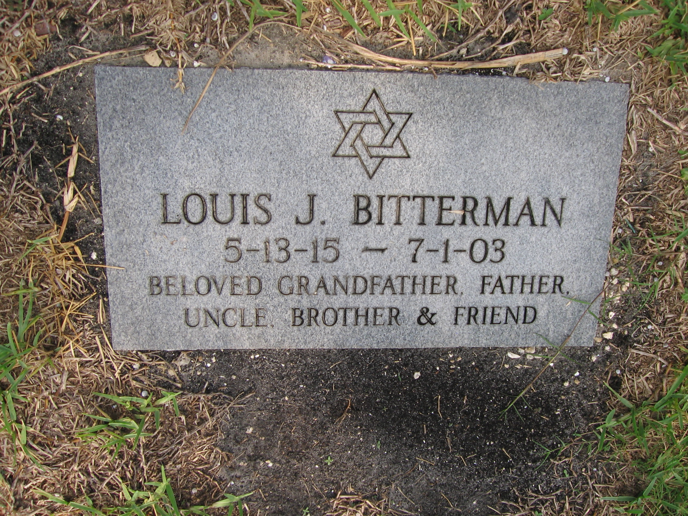 Louis J Bitterman