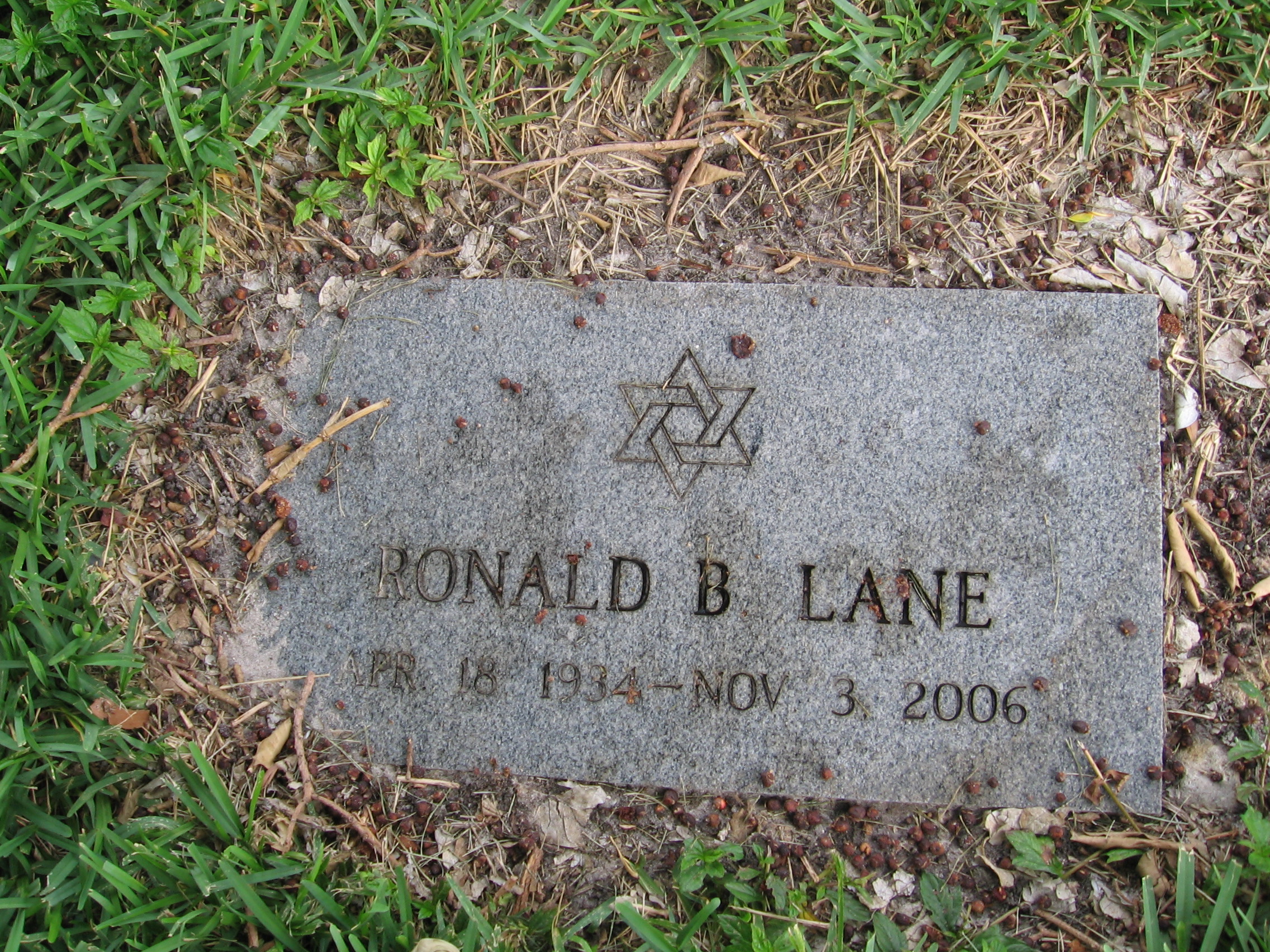 Ronald B Lane