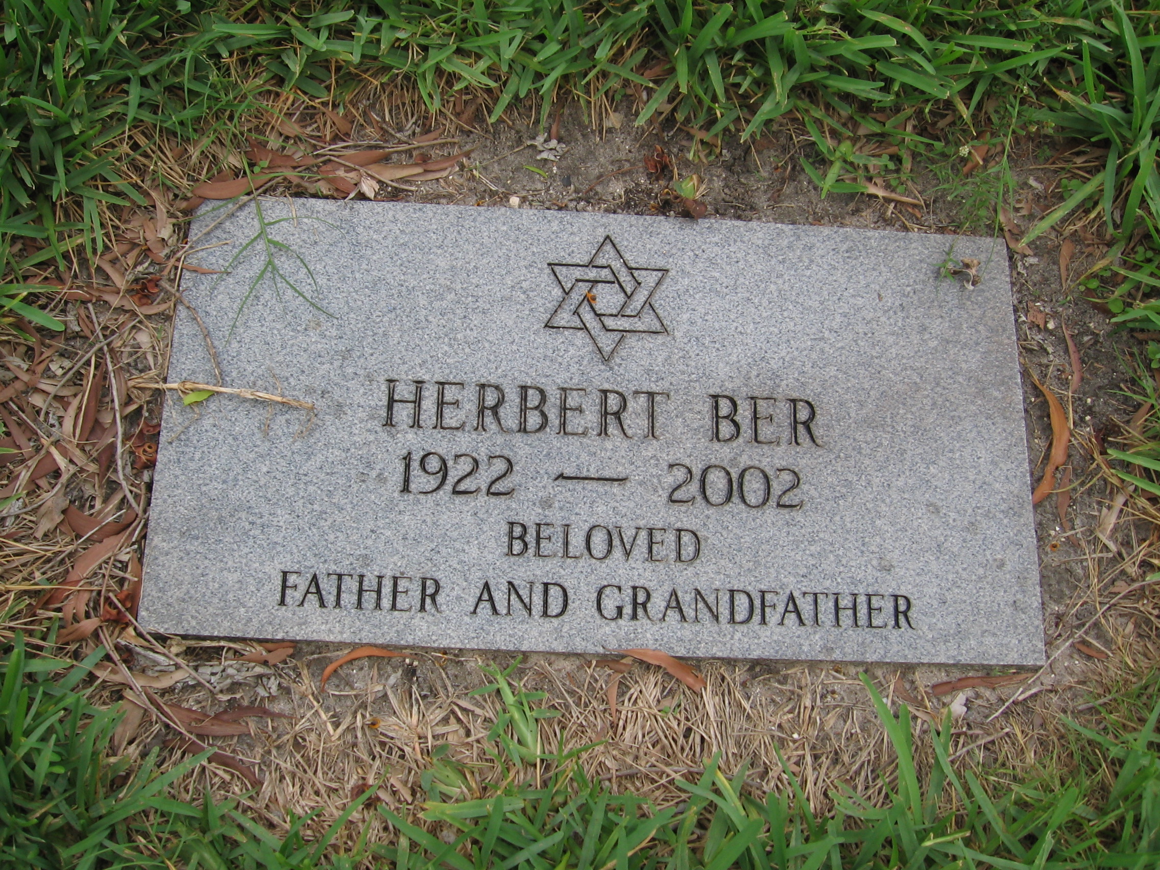Herbert Ber