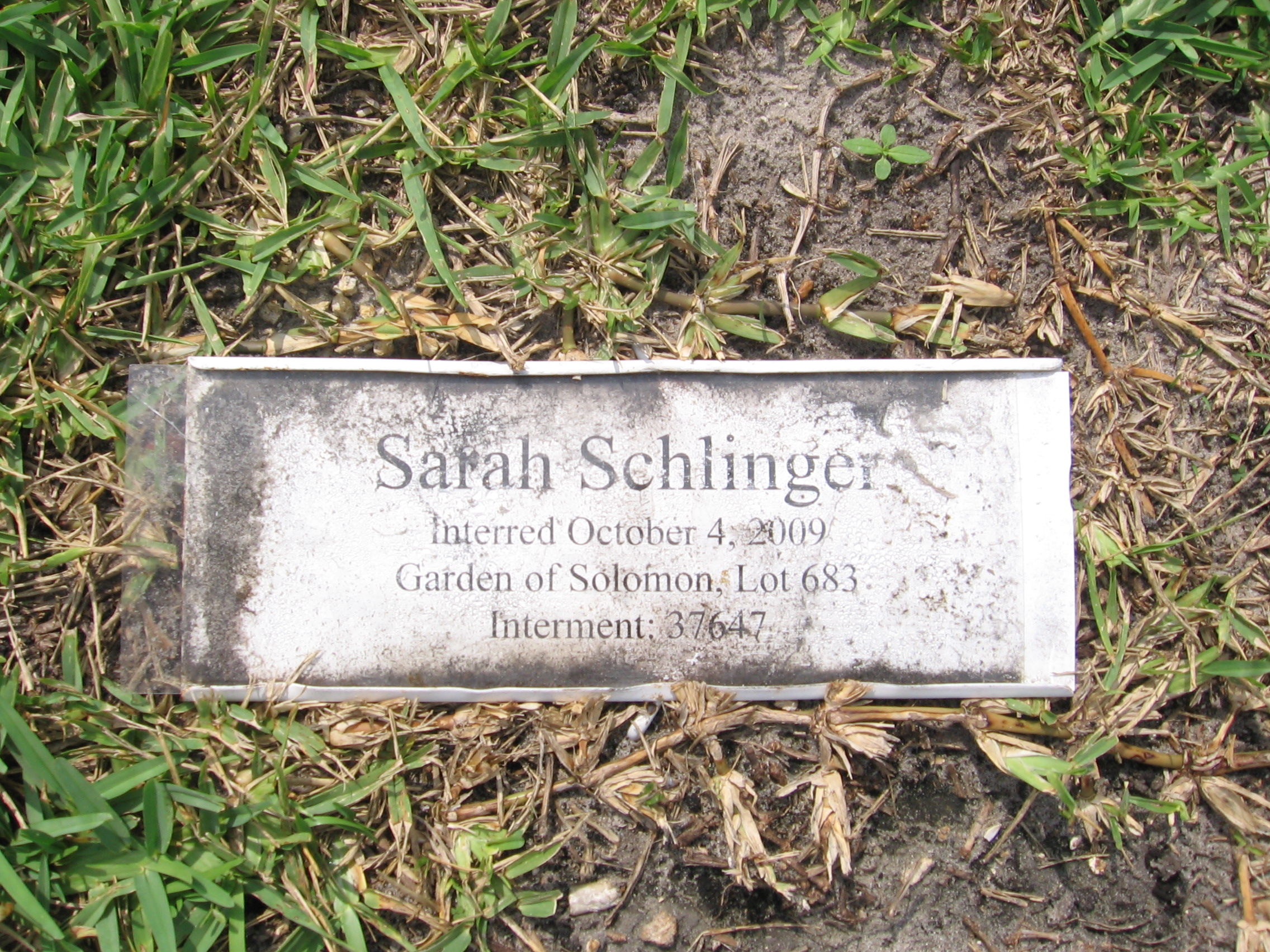 Sarah Schlinger