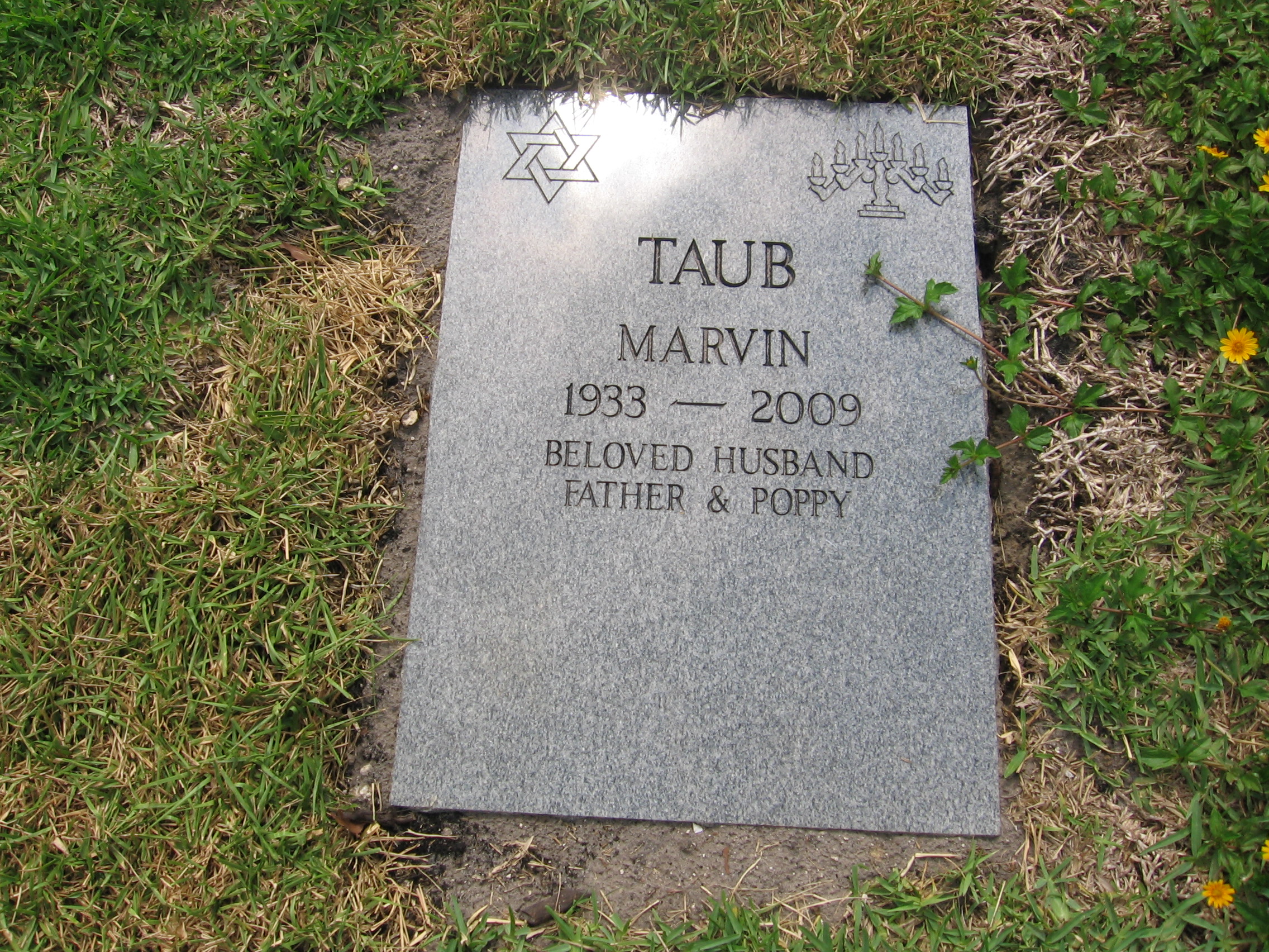 Marvin Taub