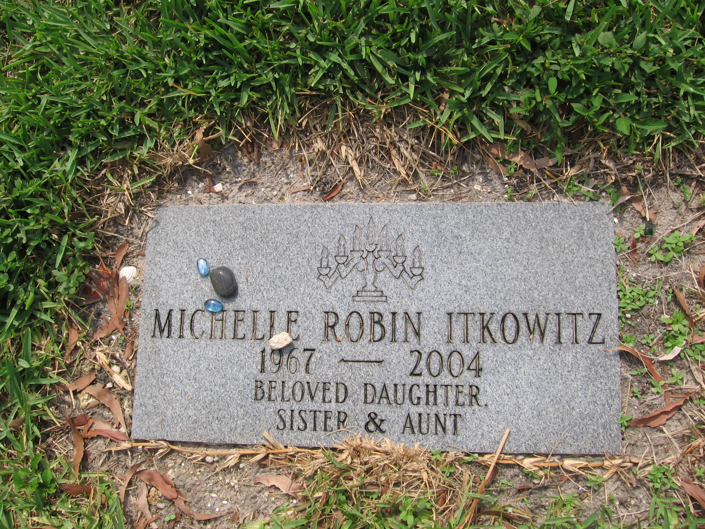 Michelle Robin Itkowitz
