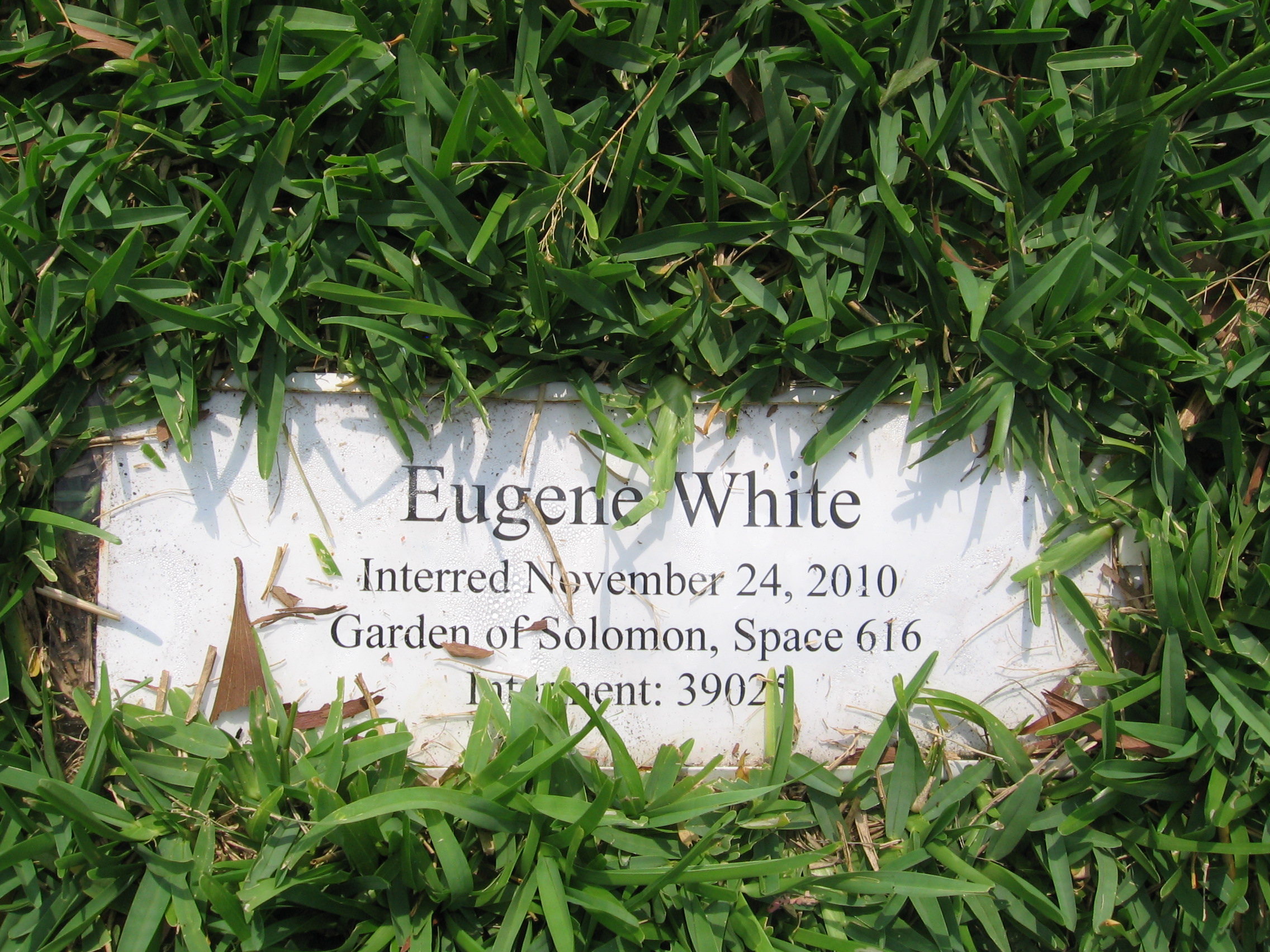 Eugene White