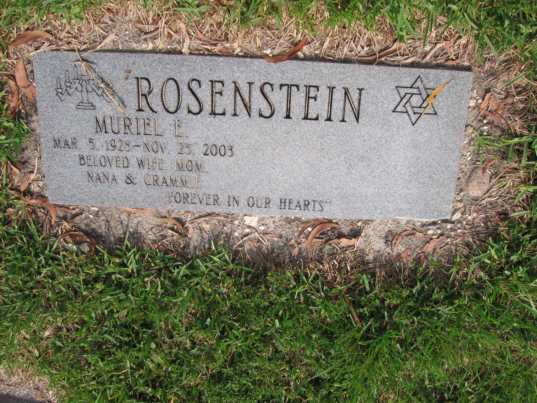 Muriel E Rosenstein