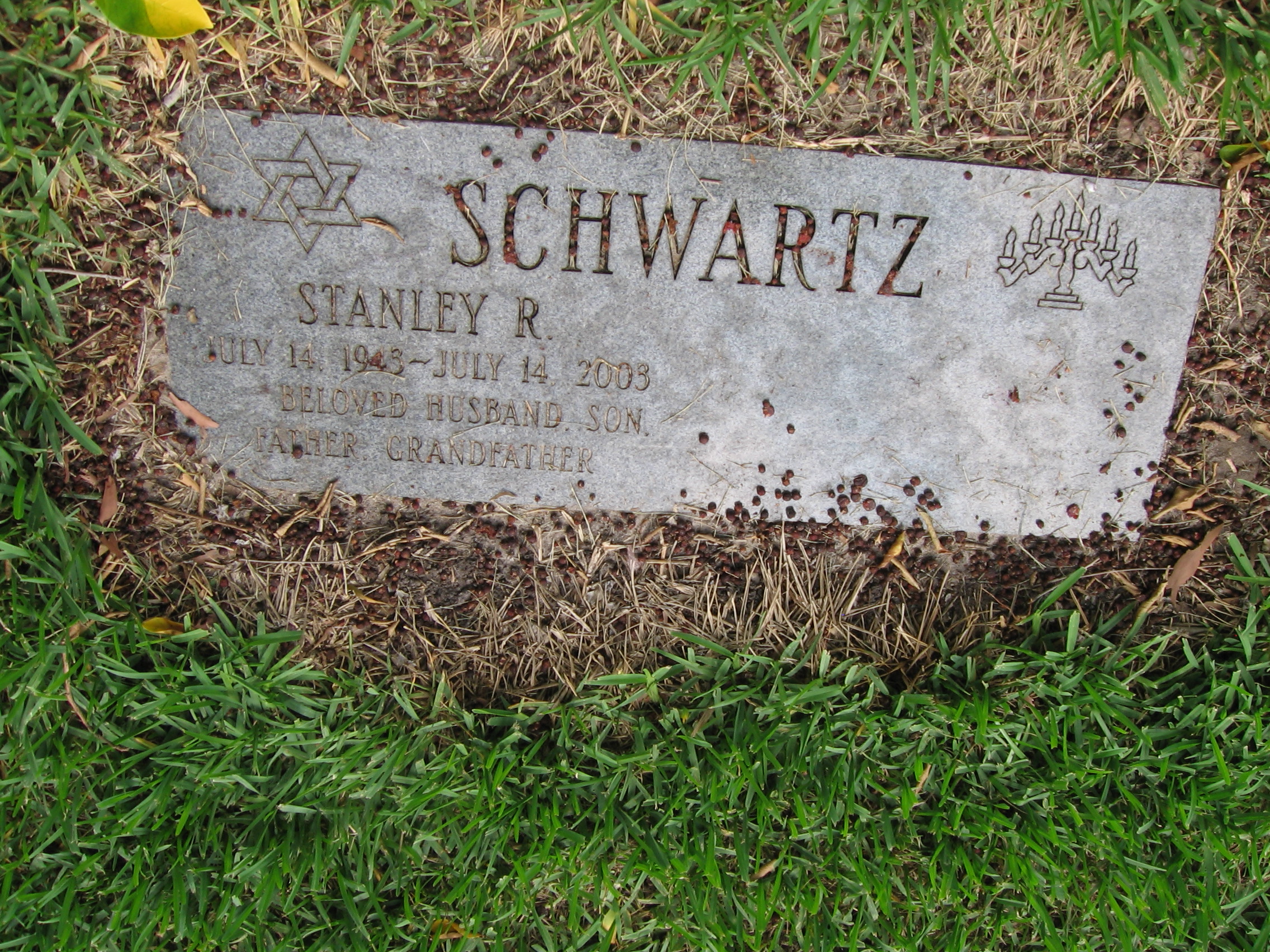 Stanley R Schwartz
