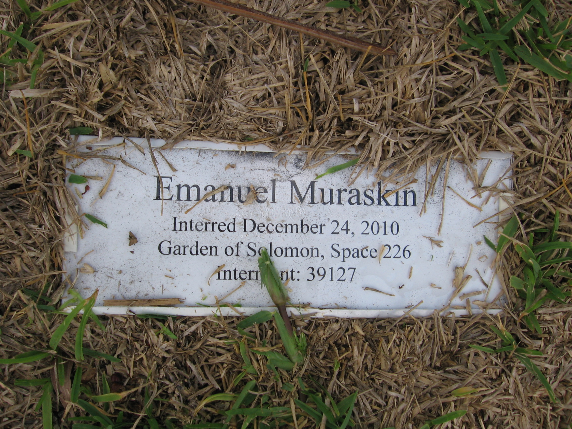 Emanuel Muraskin