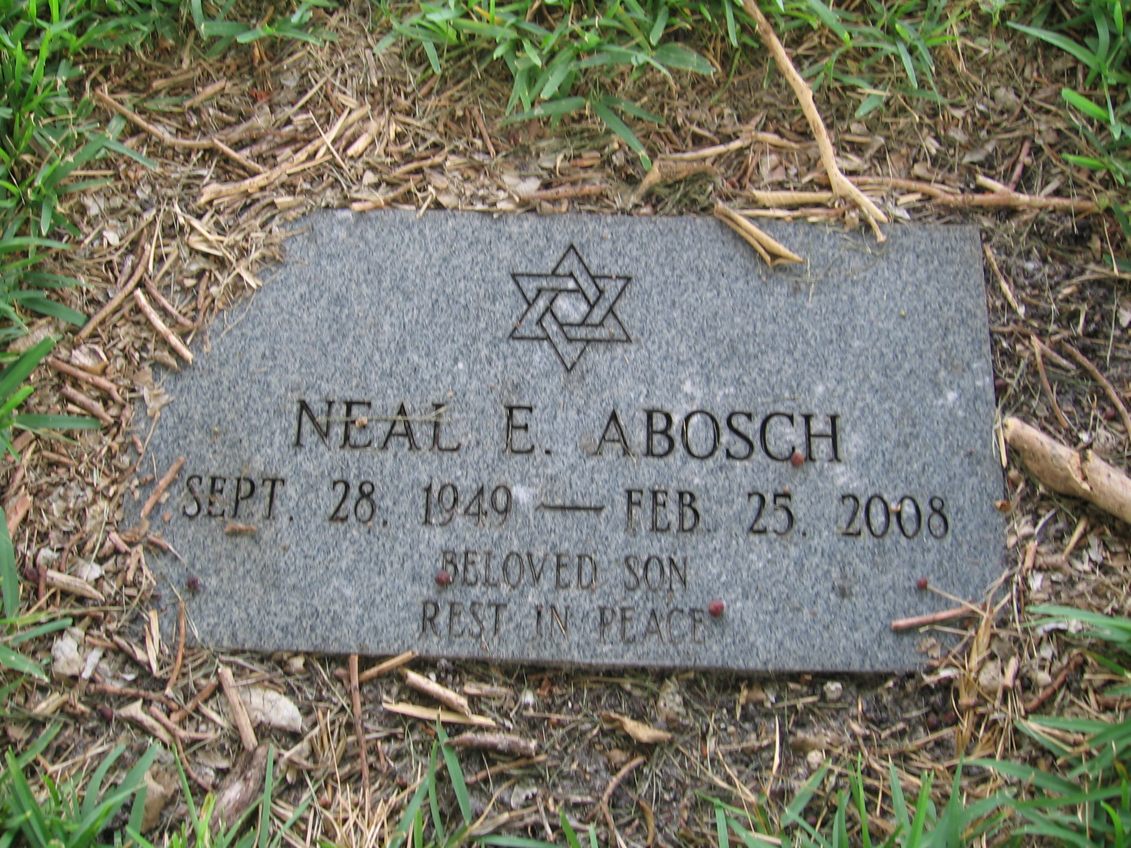 Neal E Abosch