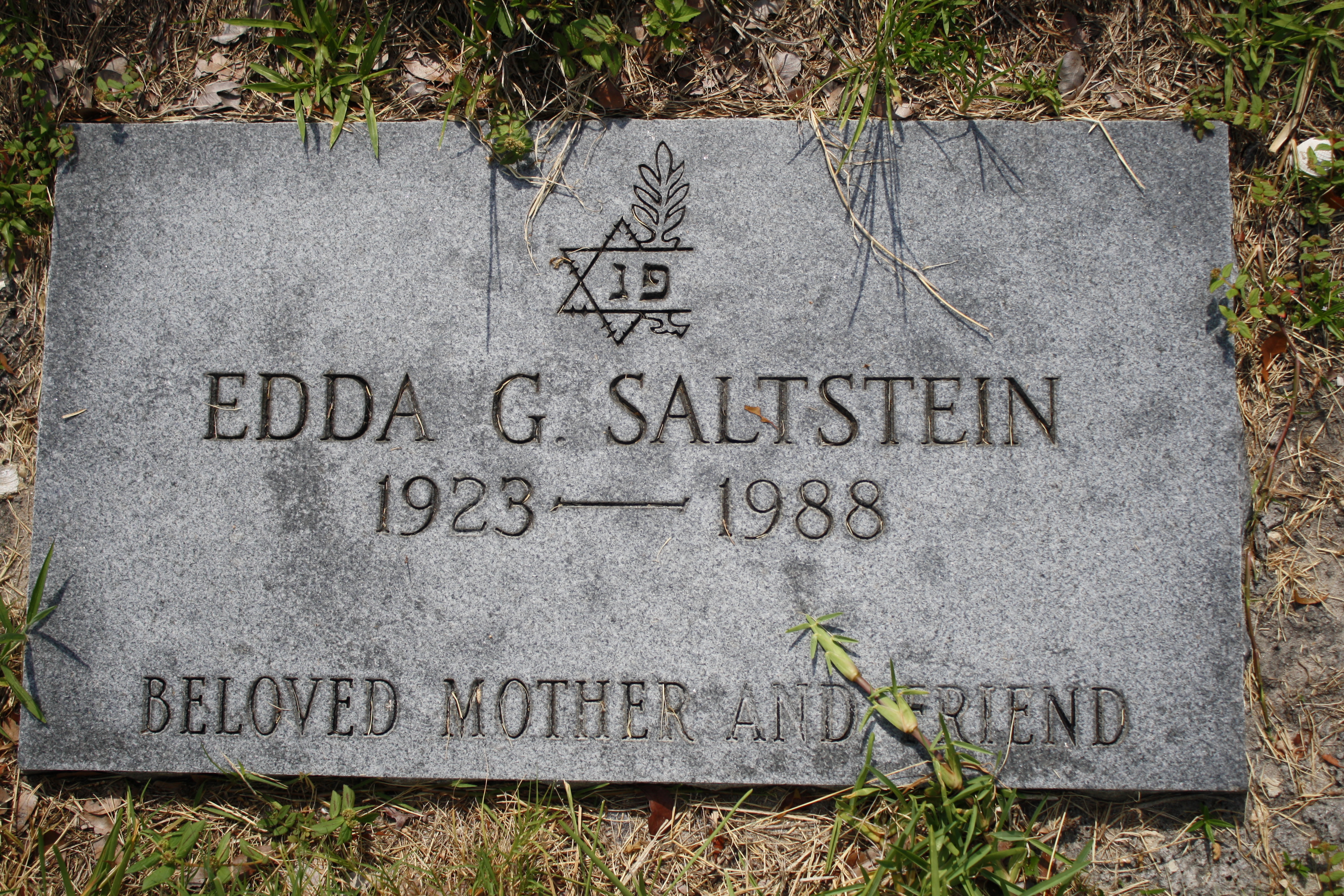 Edda G Saltstein