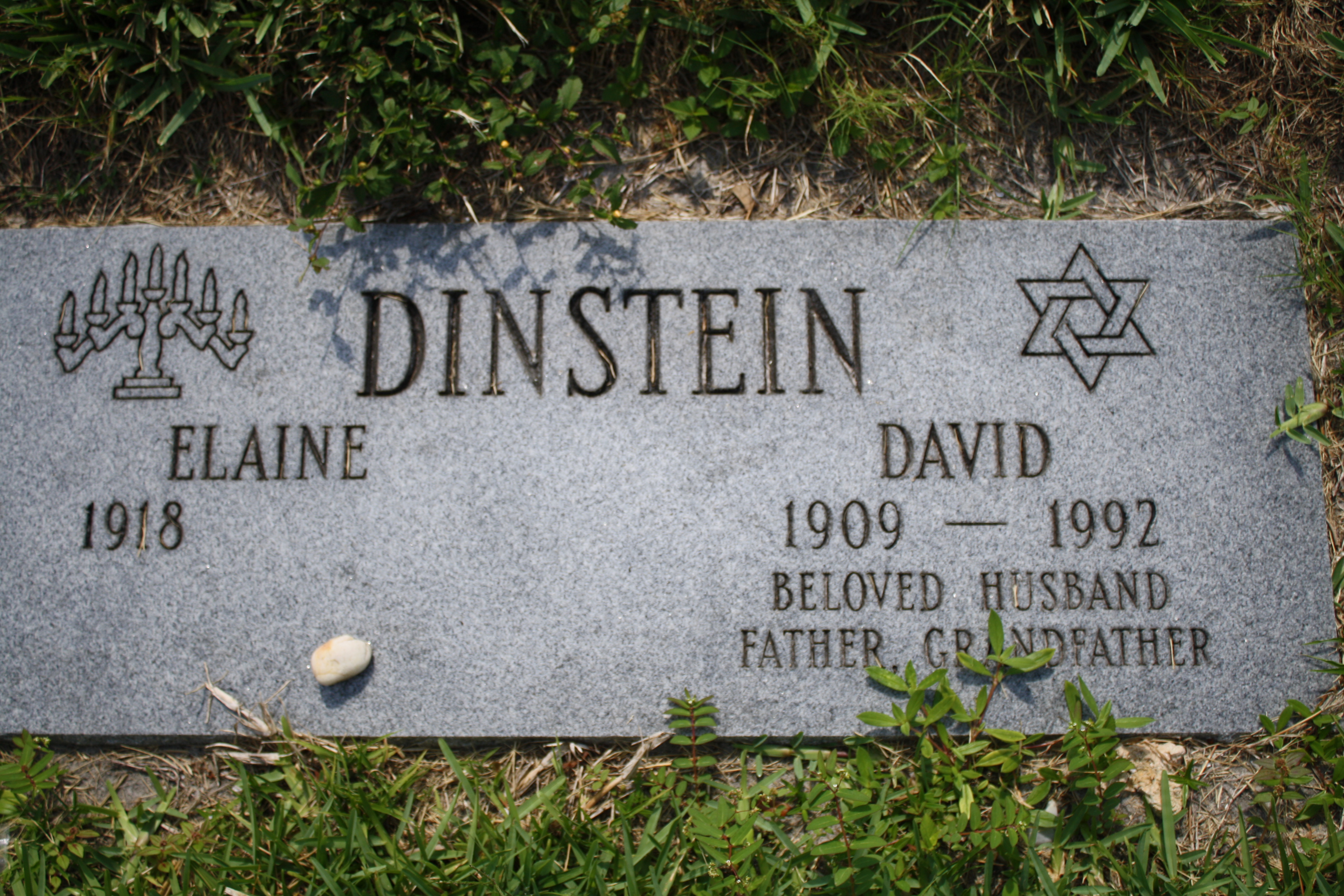 David Dinstein