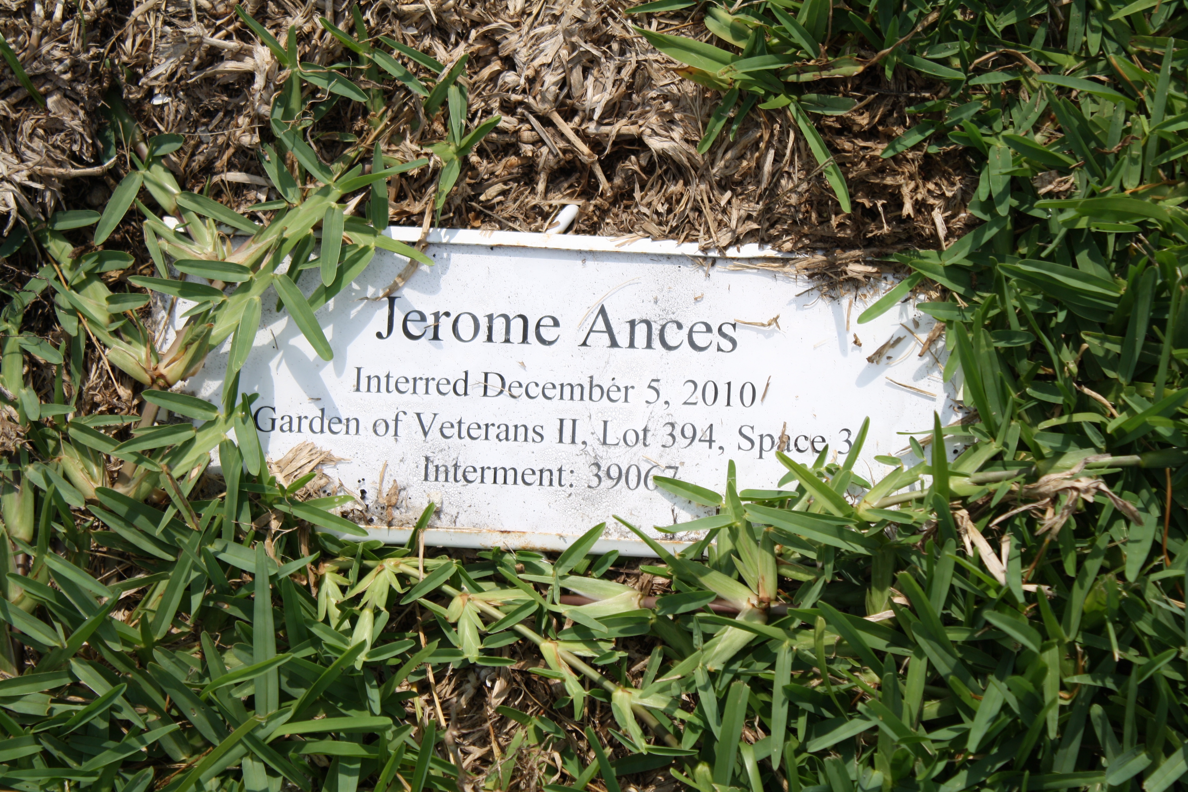 Jerome Ances