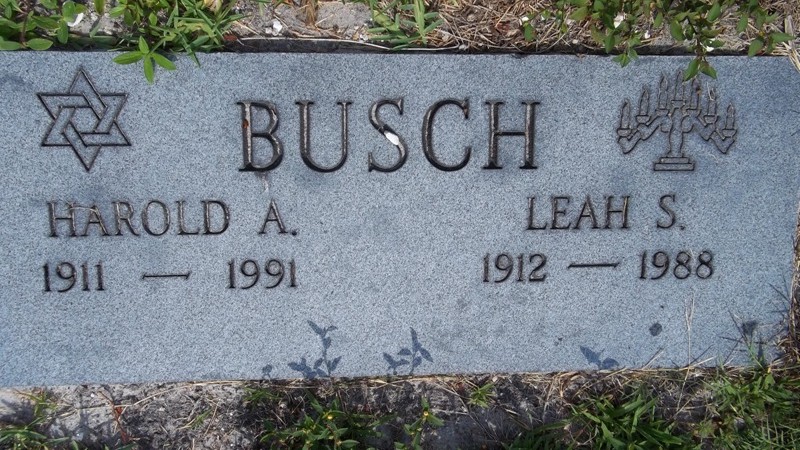 Leah S Busch