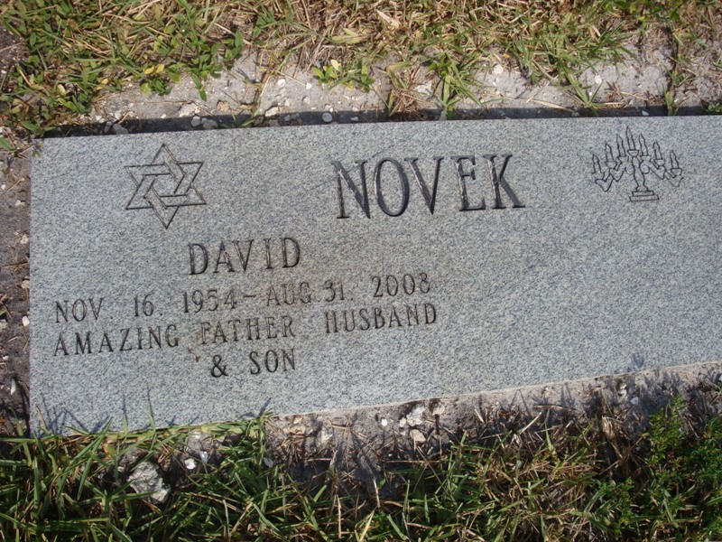 David Novek