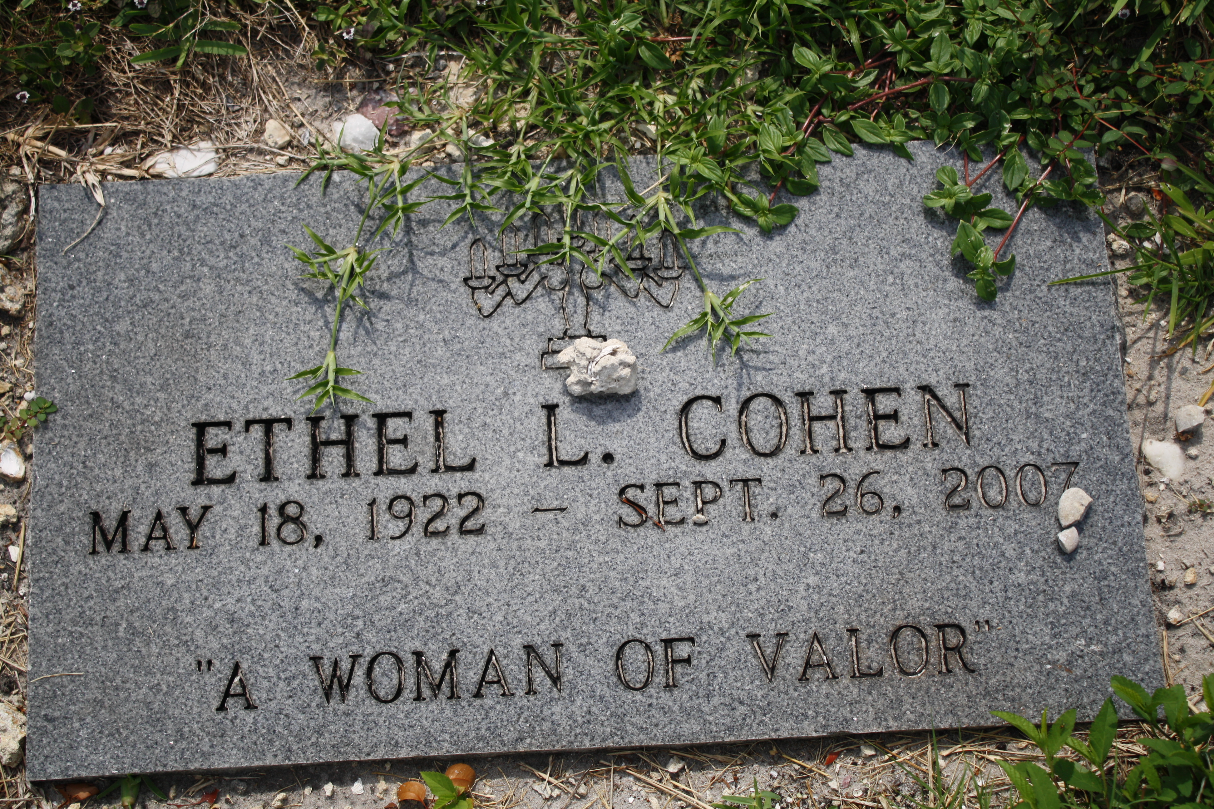 Ethel L Cohen