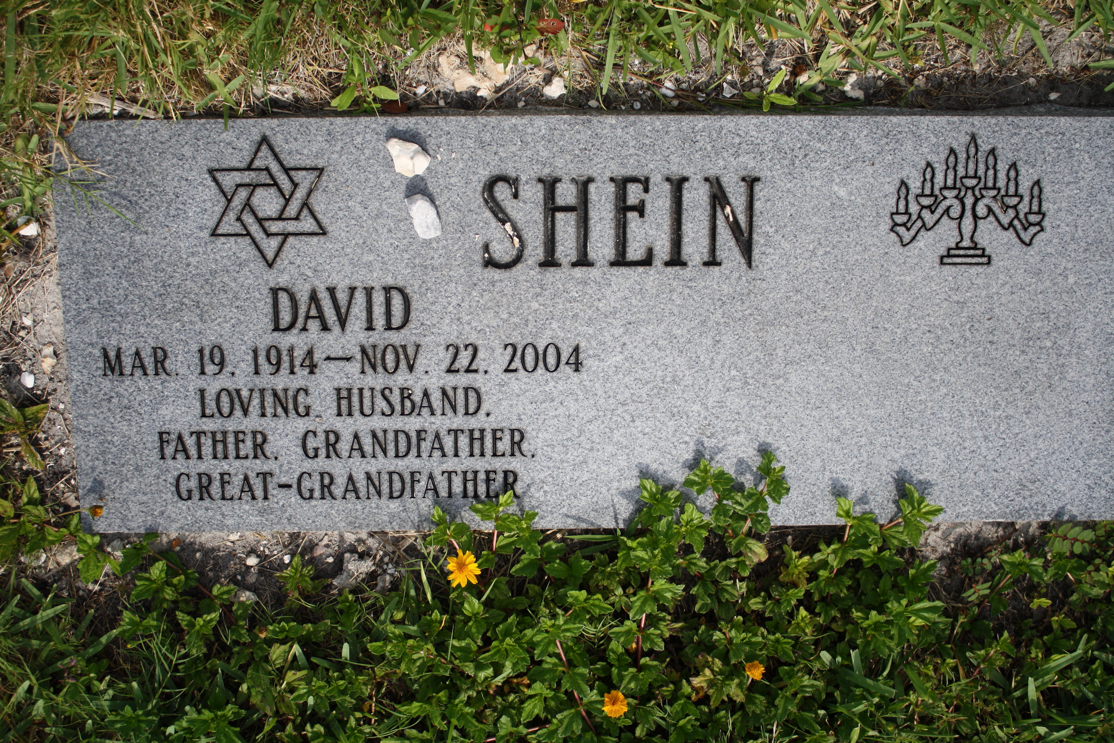 David Shein