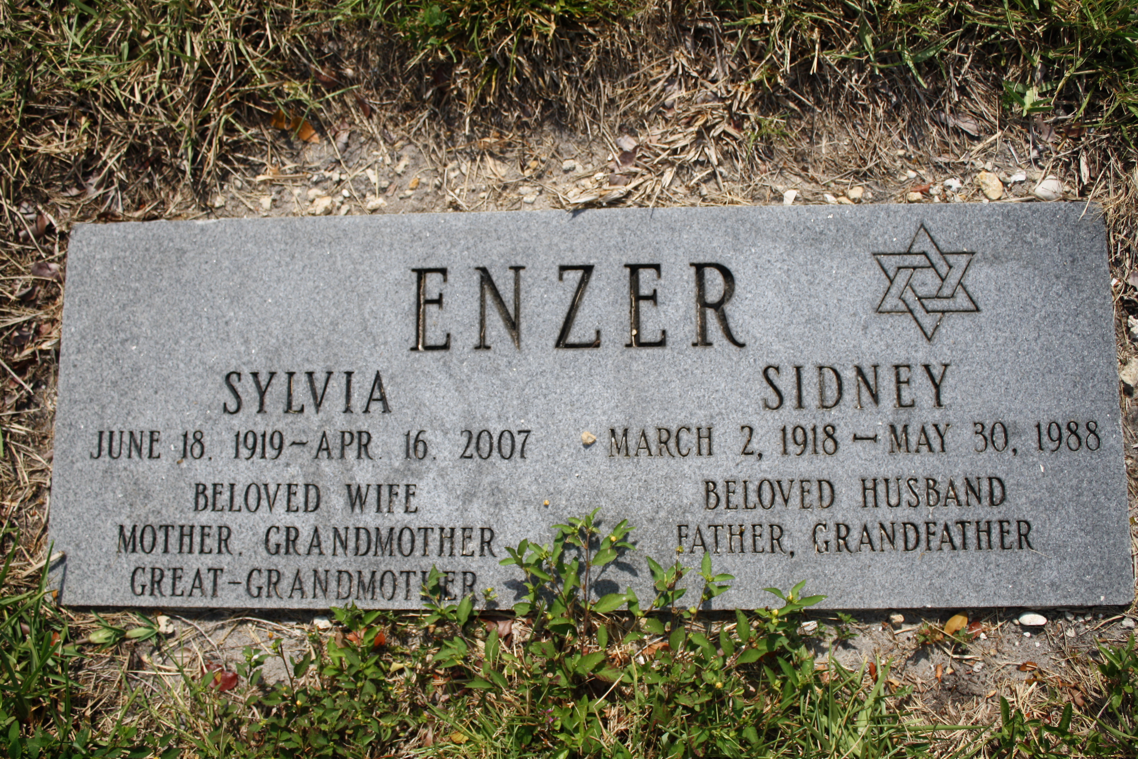 Sidney Enzer