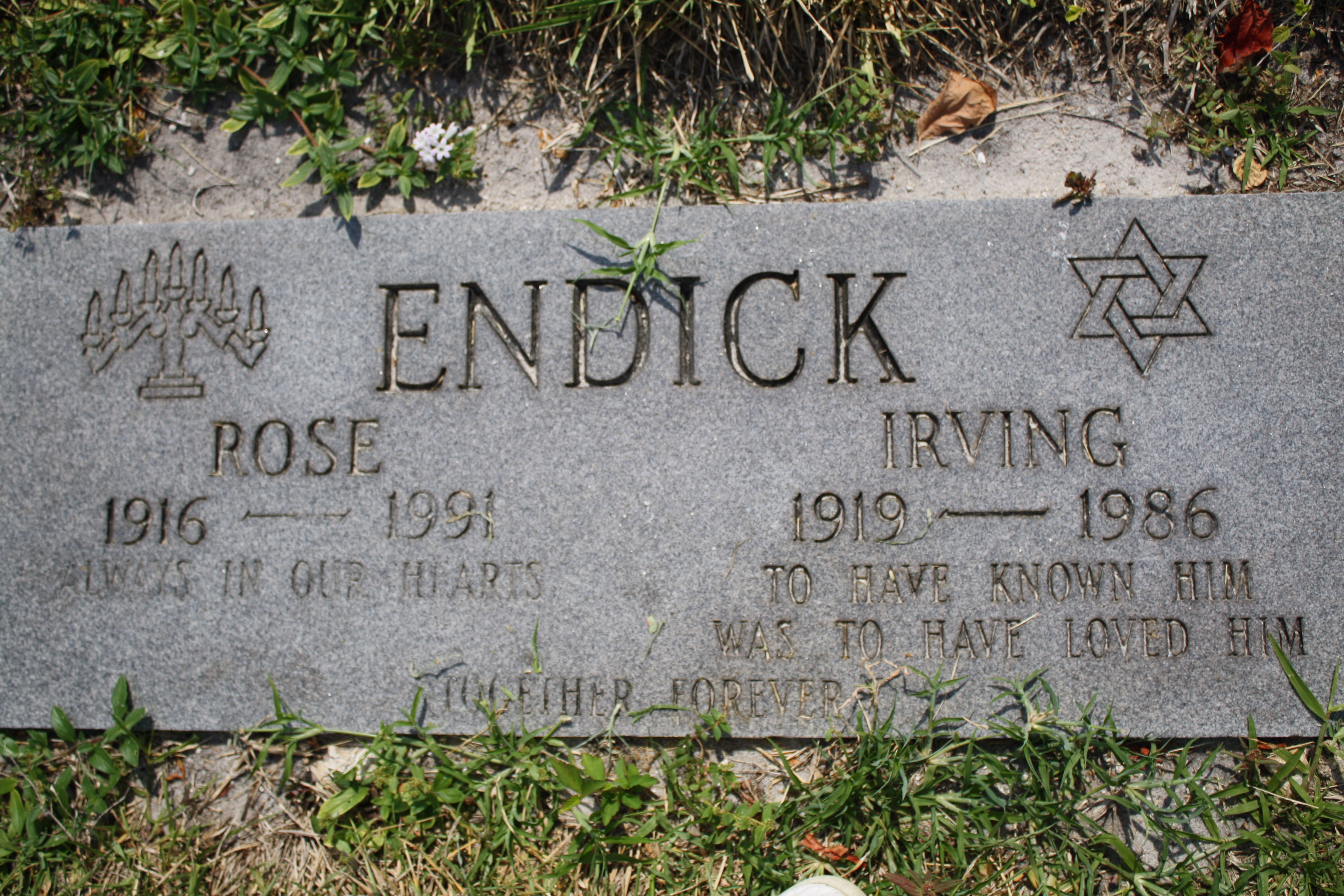 Irving Endick