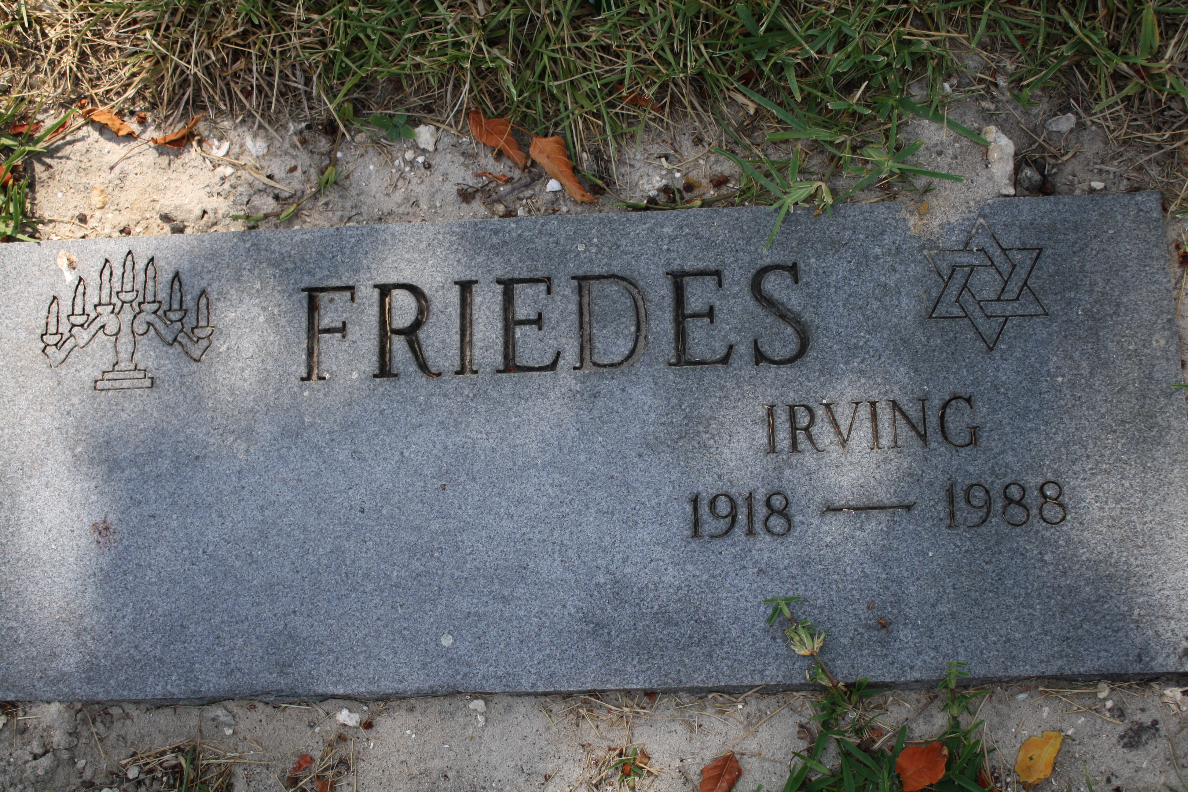 Irving Friedes