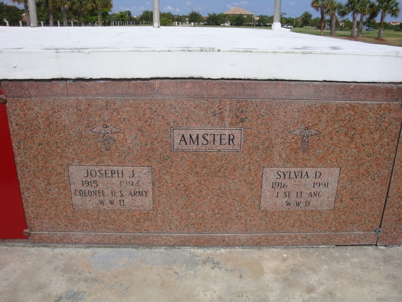 Joseph J Amster