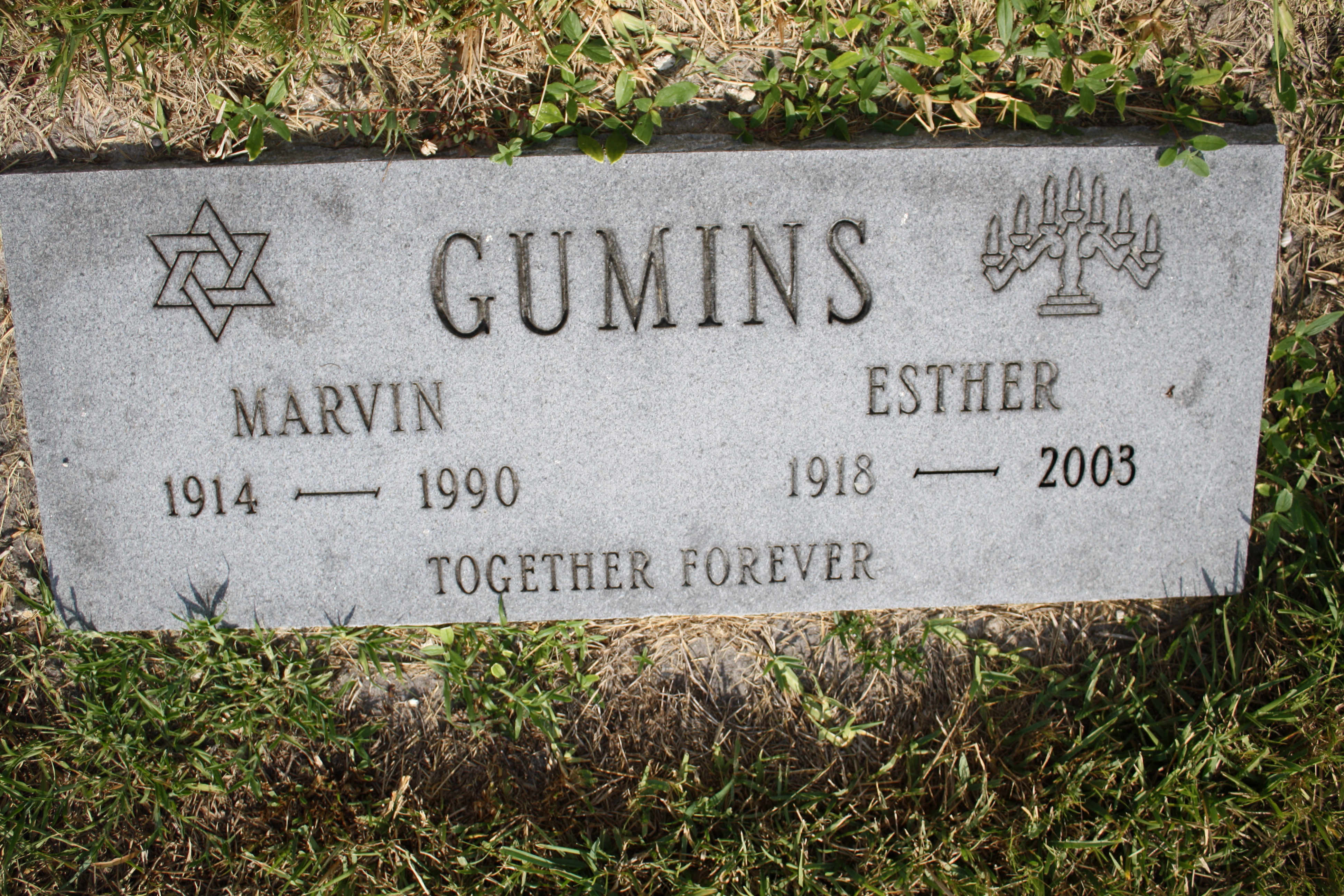 Marvin Gumins