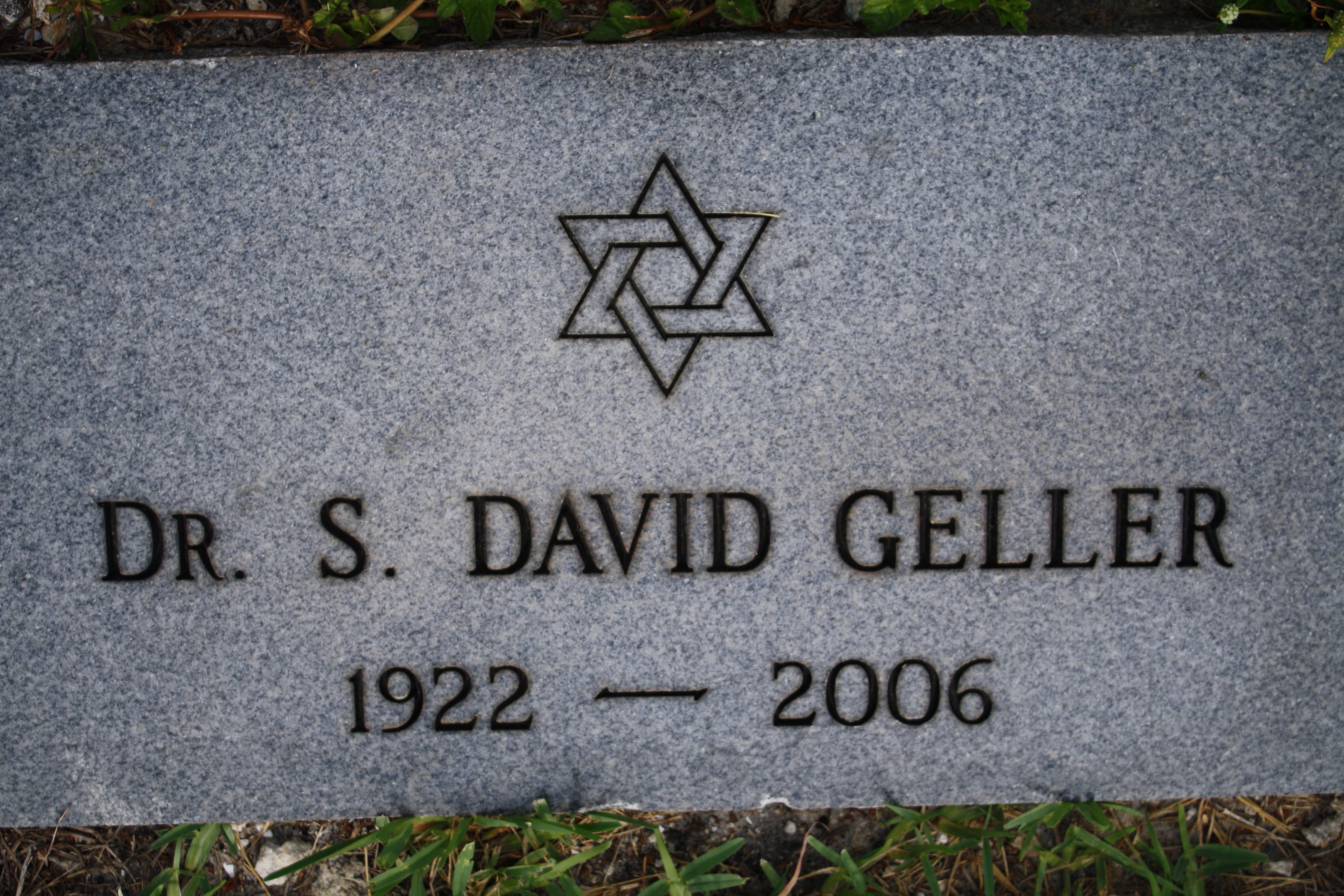 Dr S David Geller