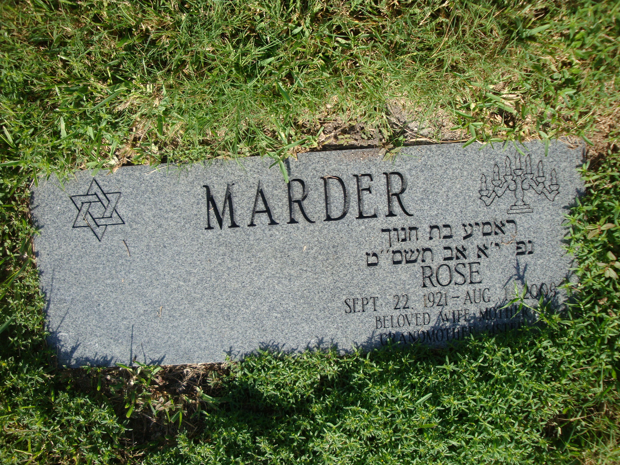 Rose Marder