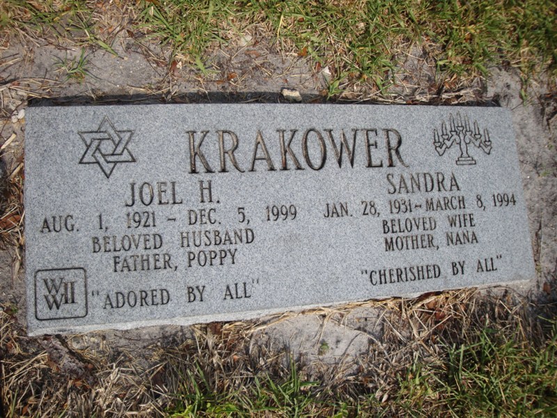 Joel H Krakower