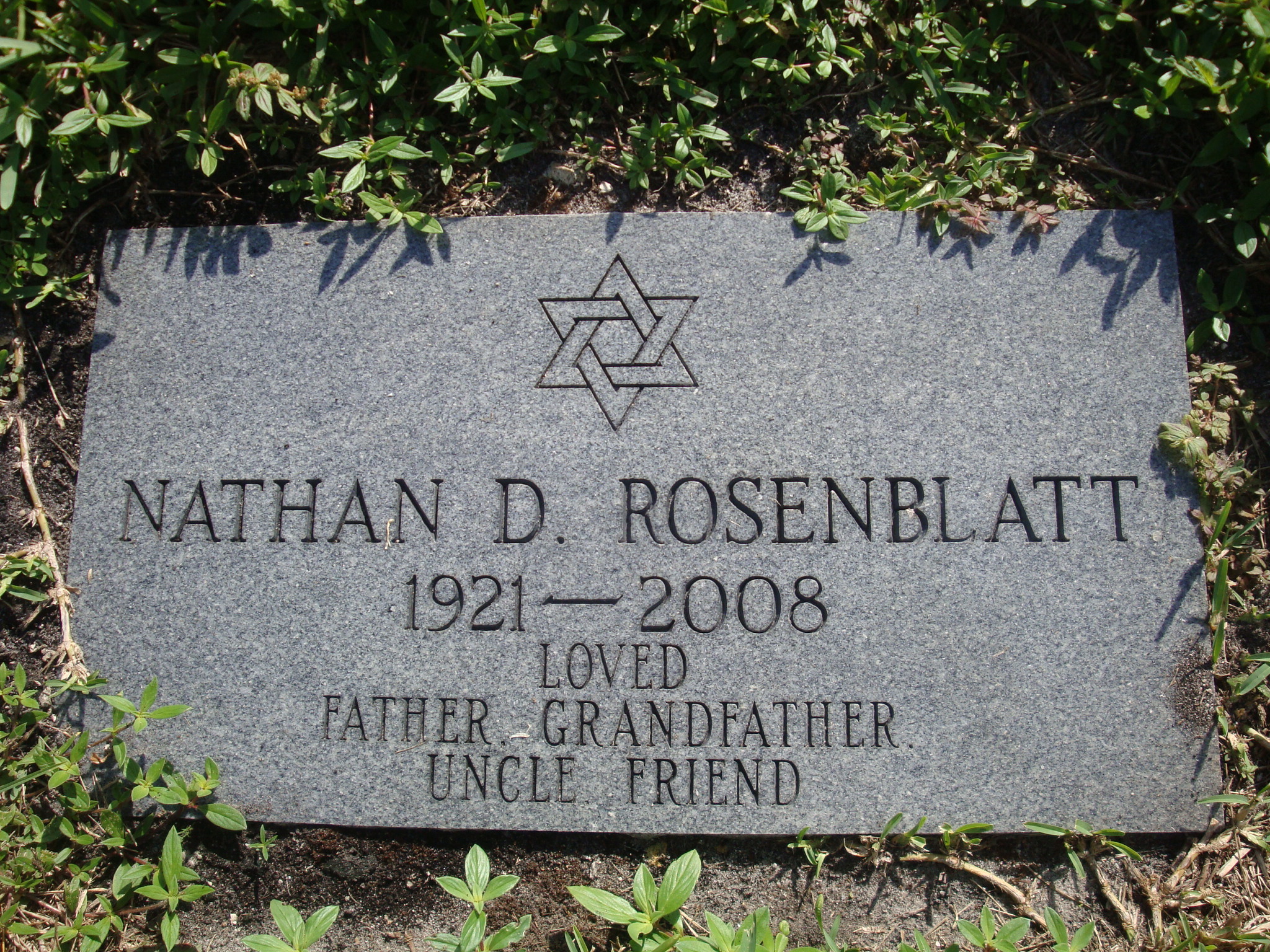 Nathan D Rosenblatt