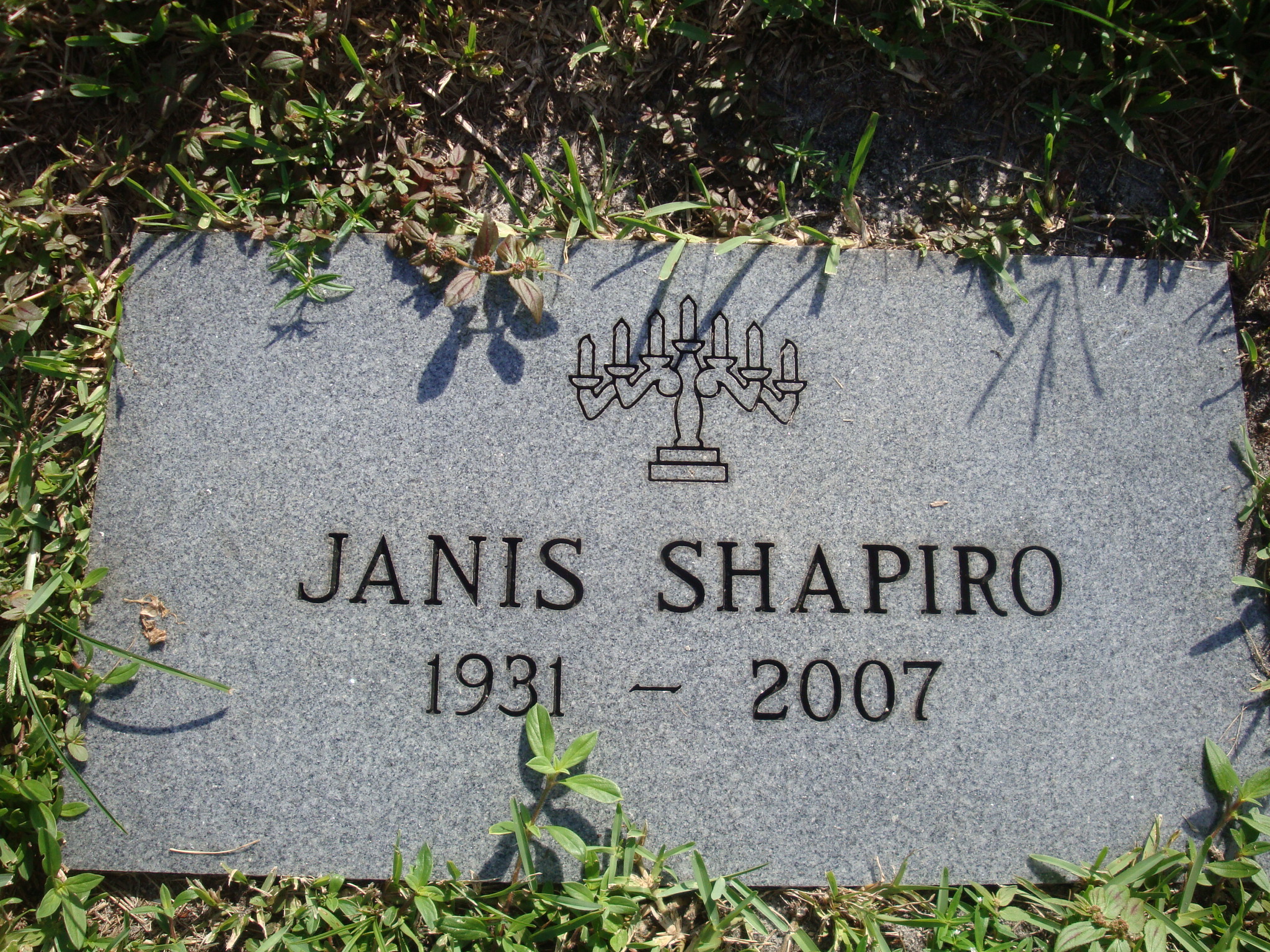 Janis Shapiro