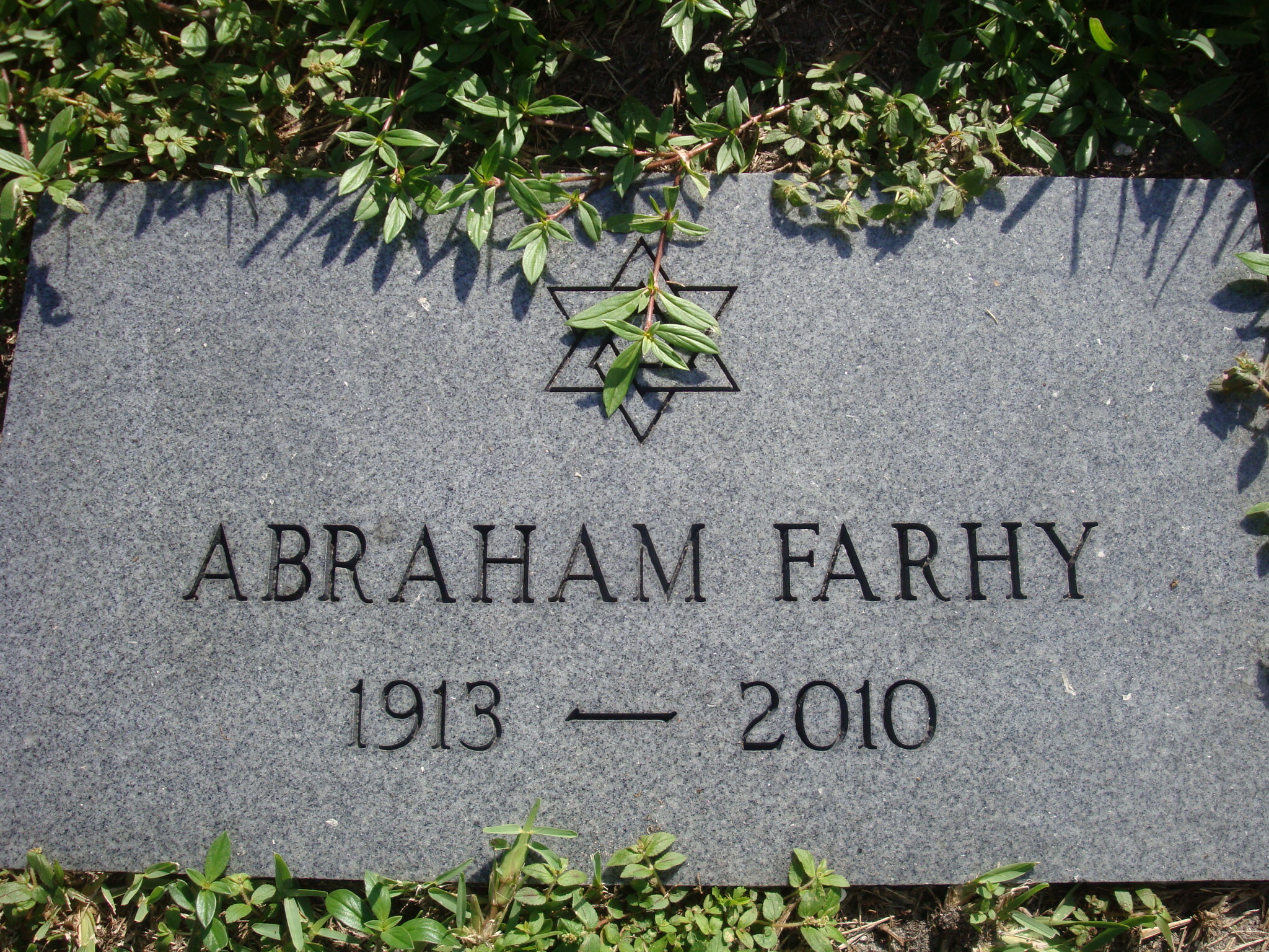 Abraham Farhy