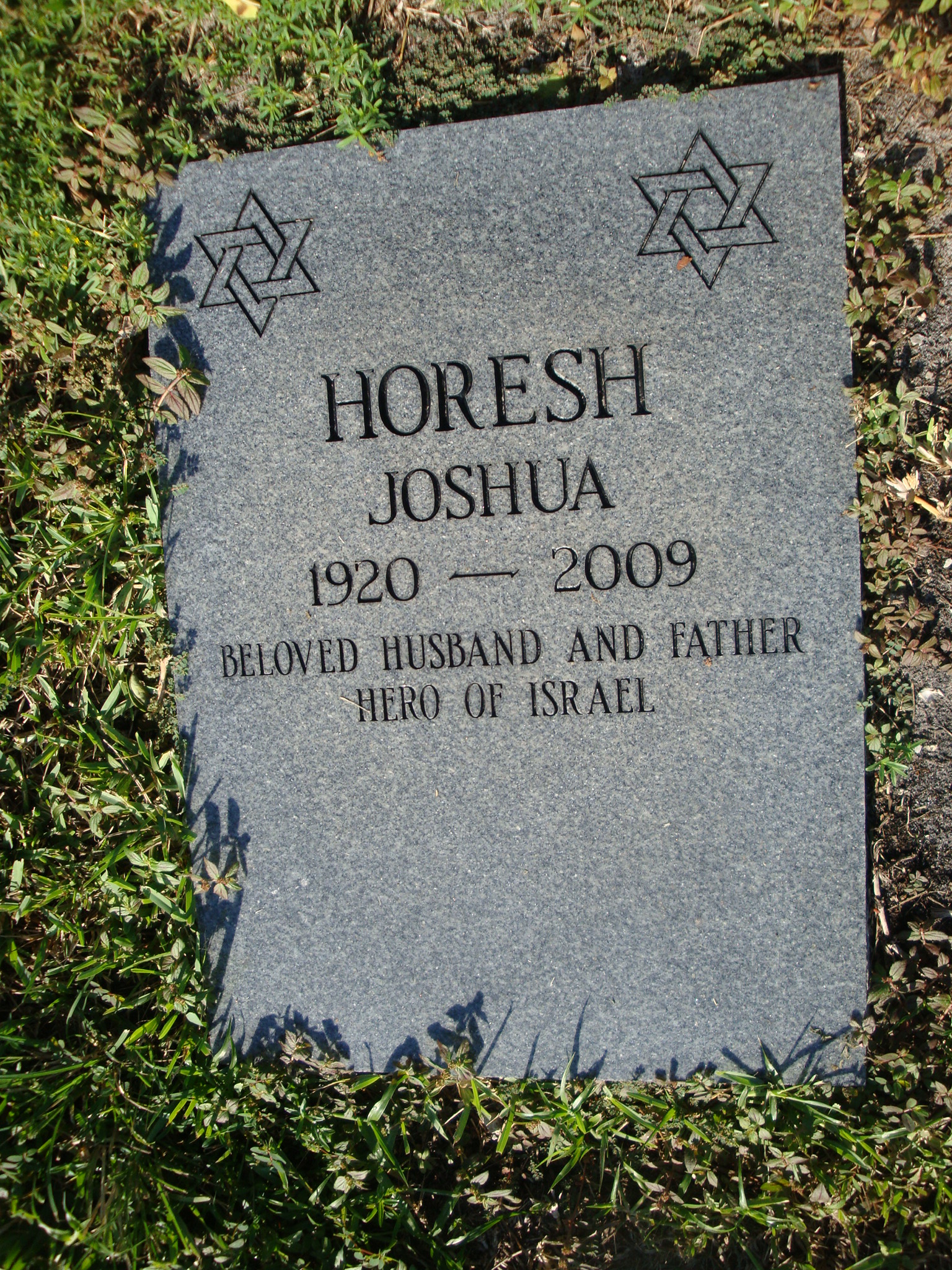 Joshua Horesh