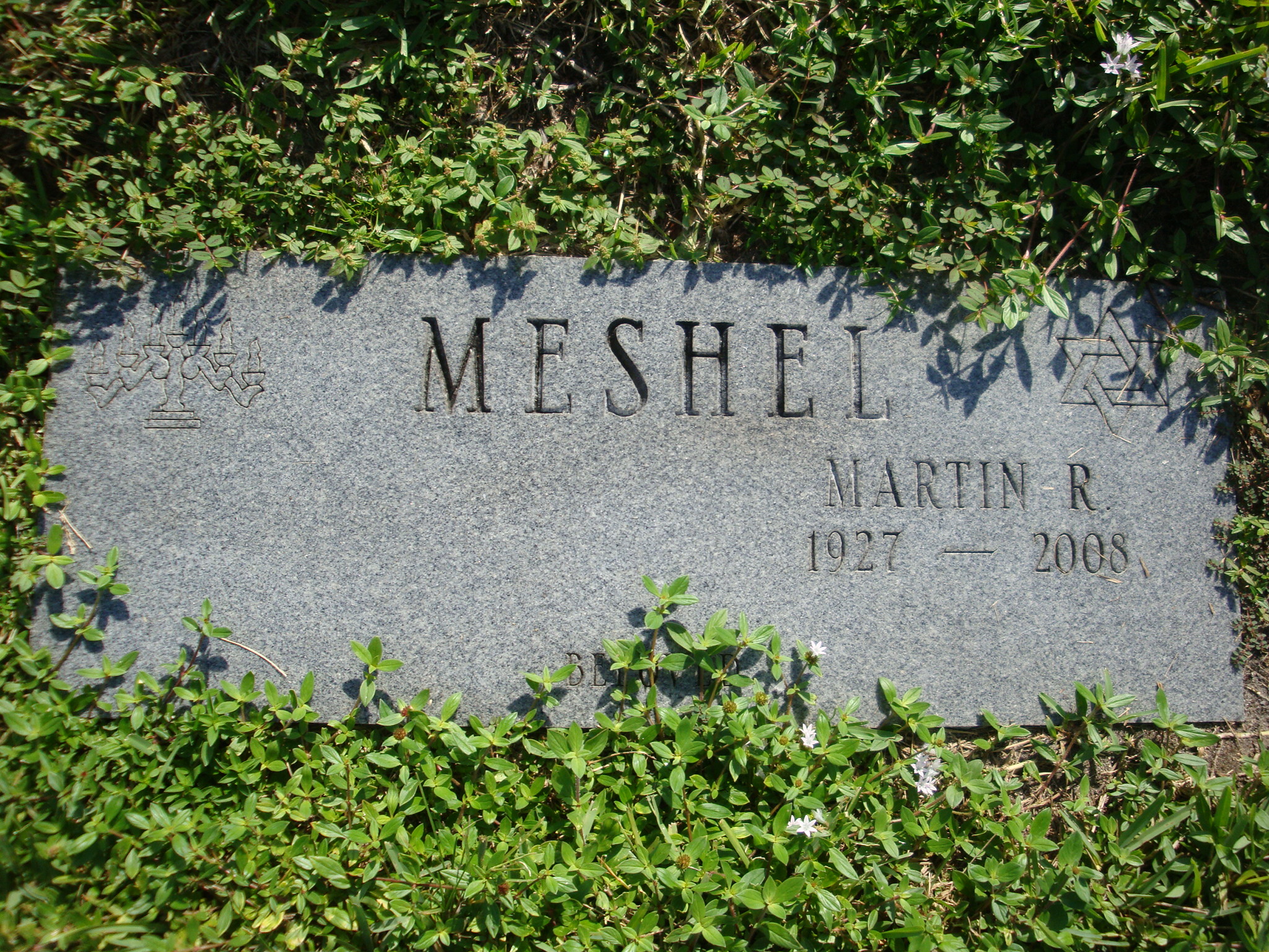 Martin R Meshel