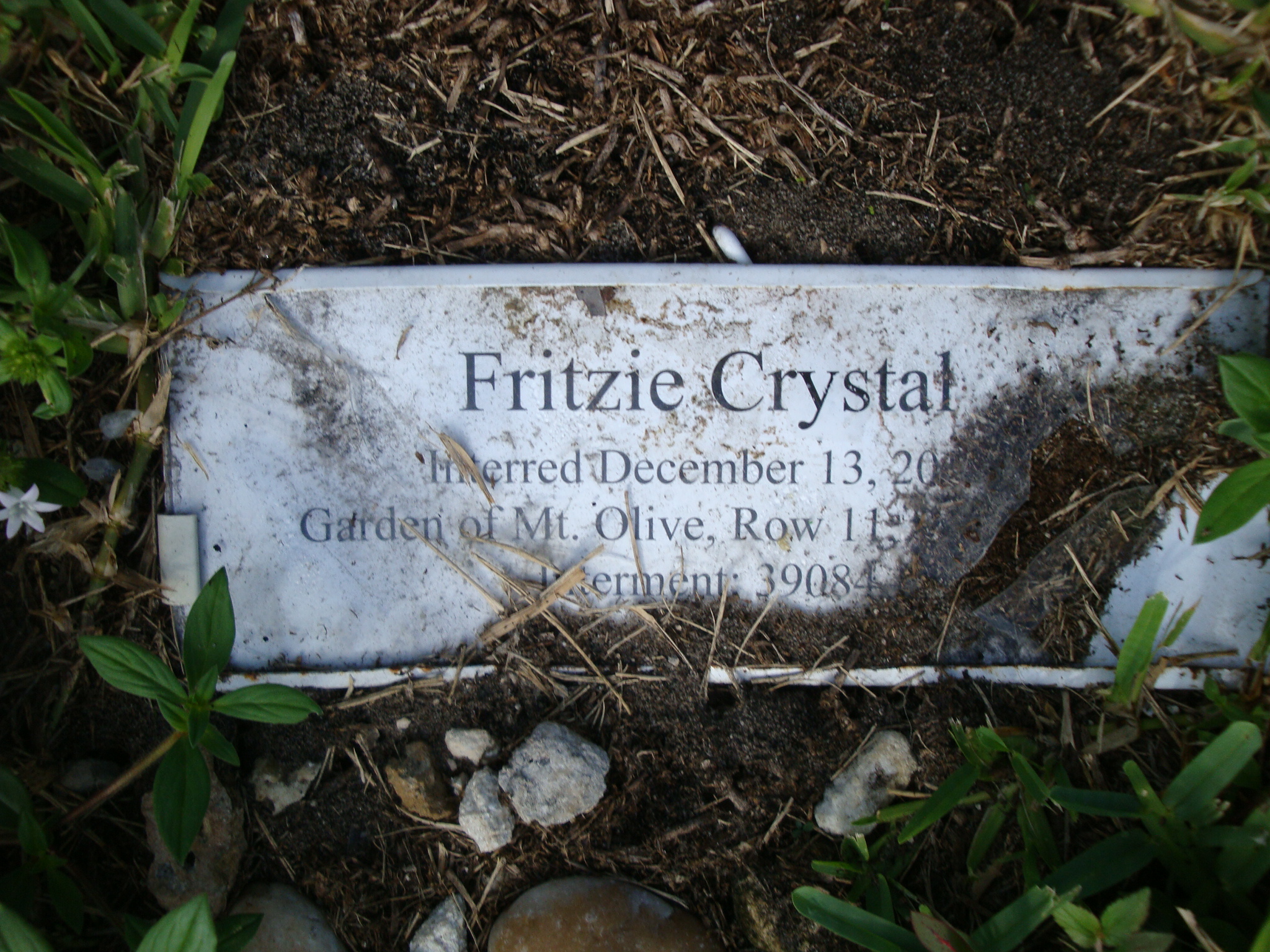 Fritzie Crystal