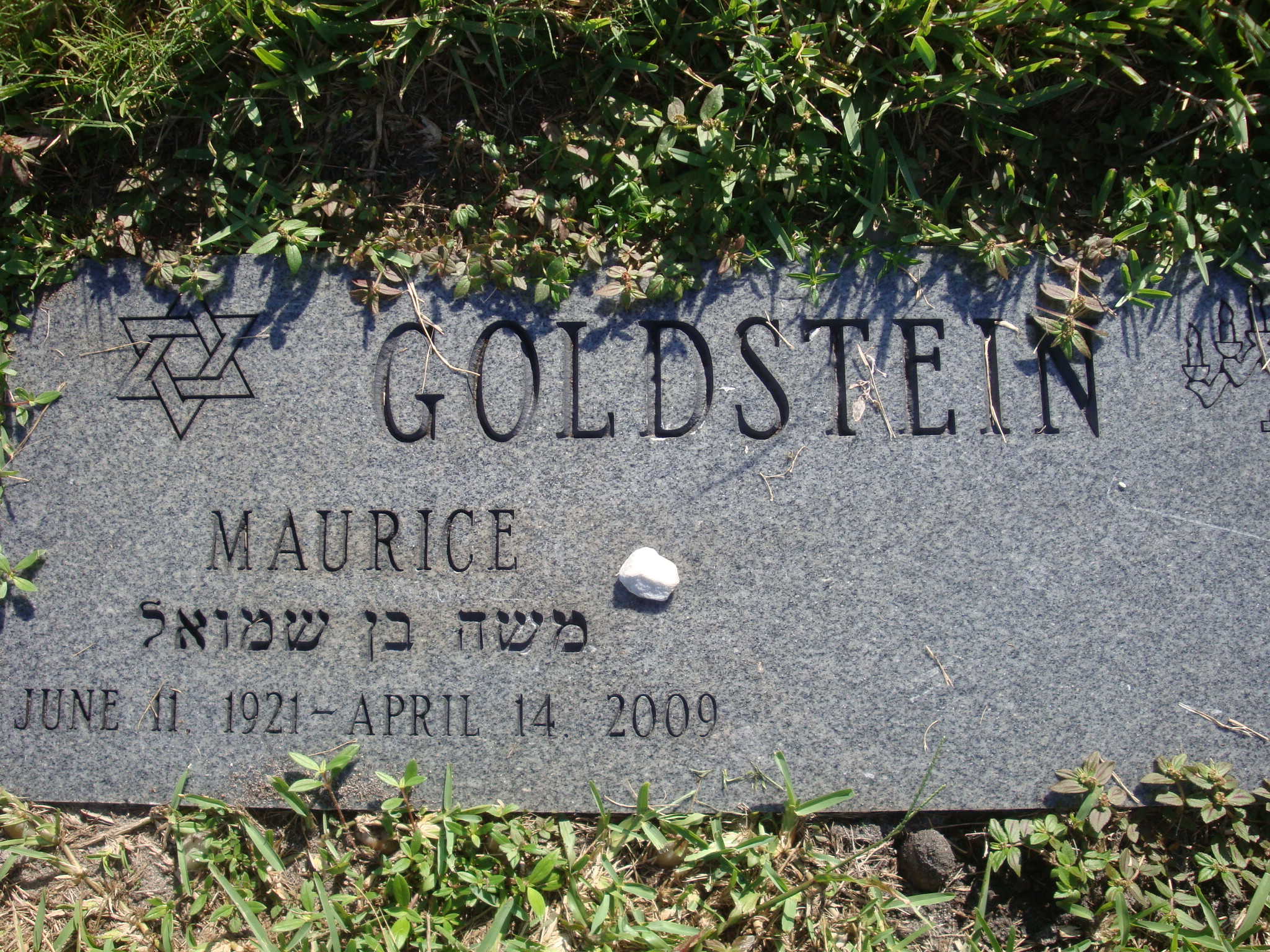 Maurice Goldstein