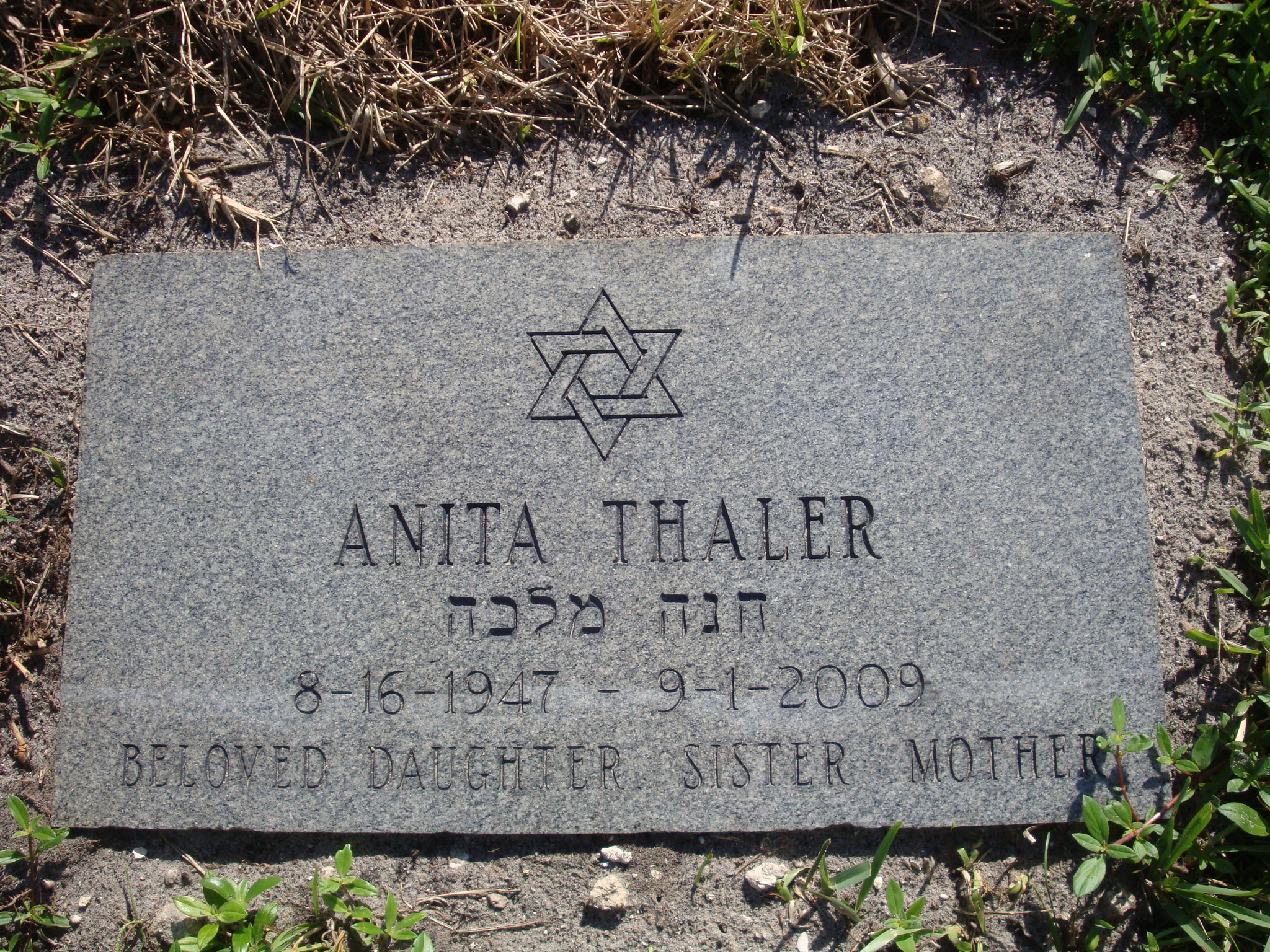Anita Thaler