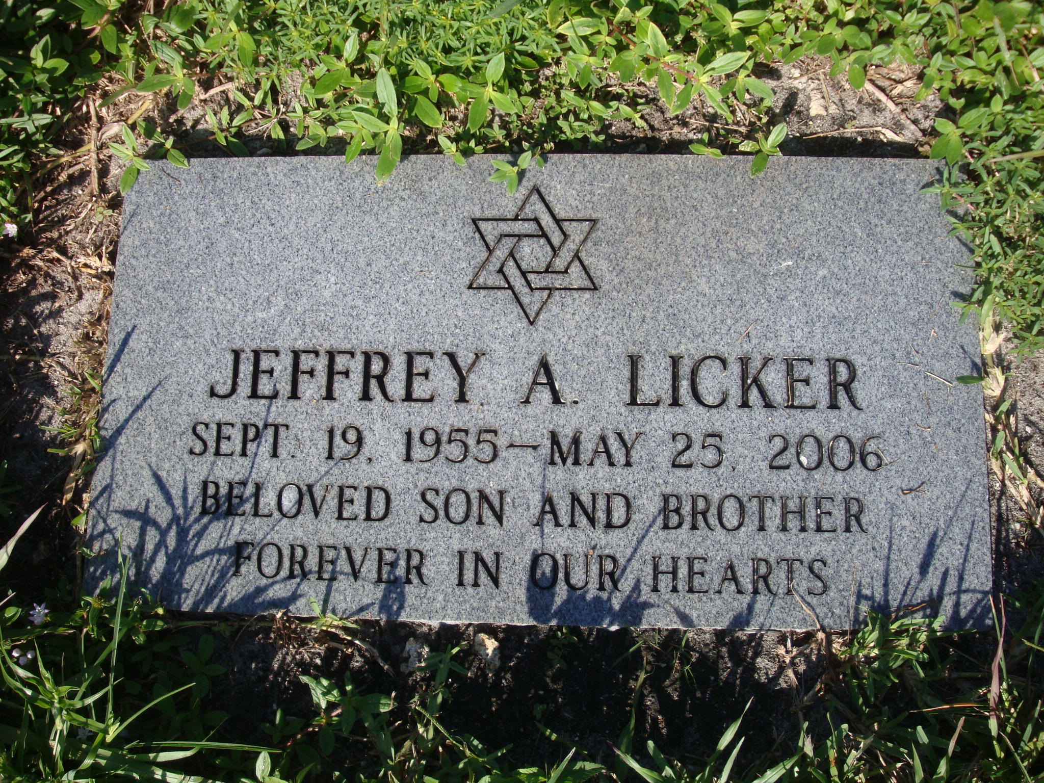 Jeffrey A Licker