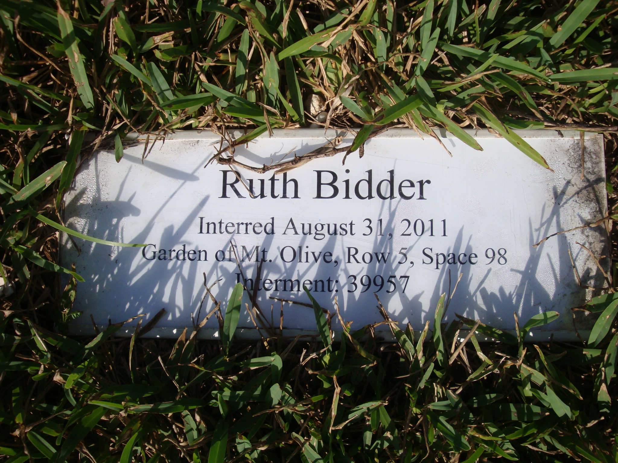 Ruth Bidder