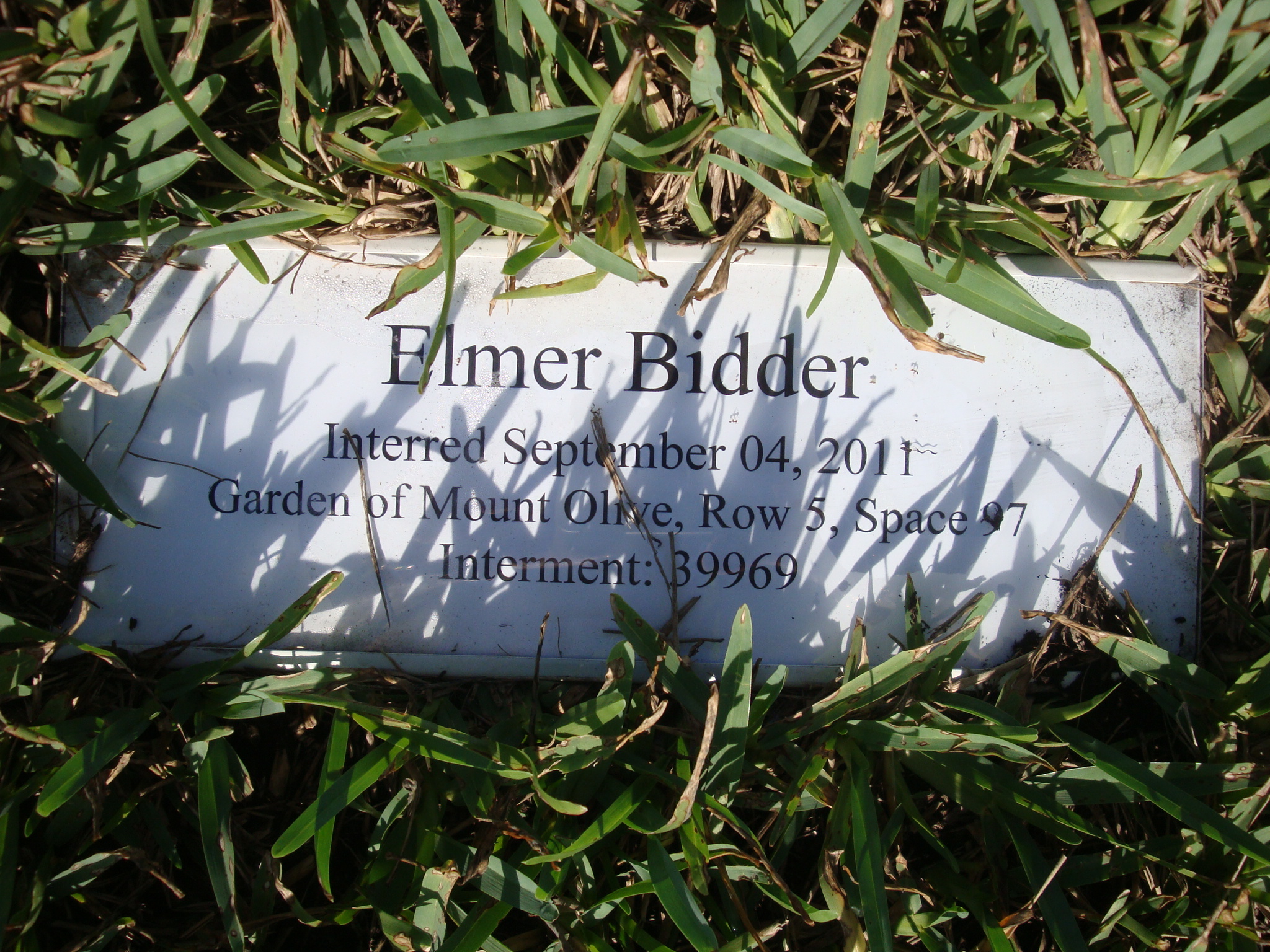 Elmer Bidder