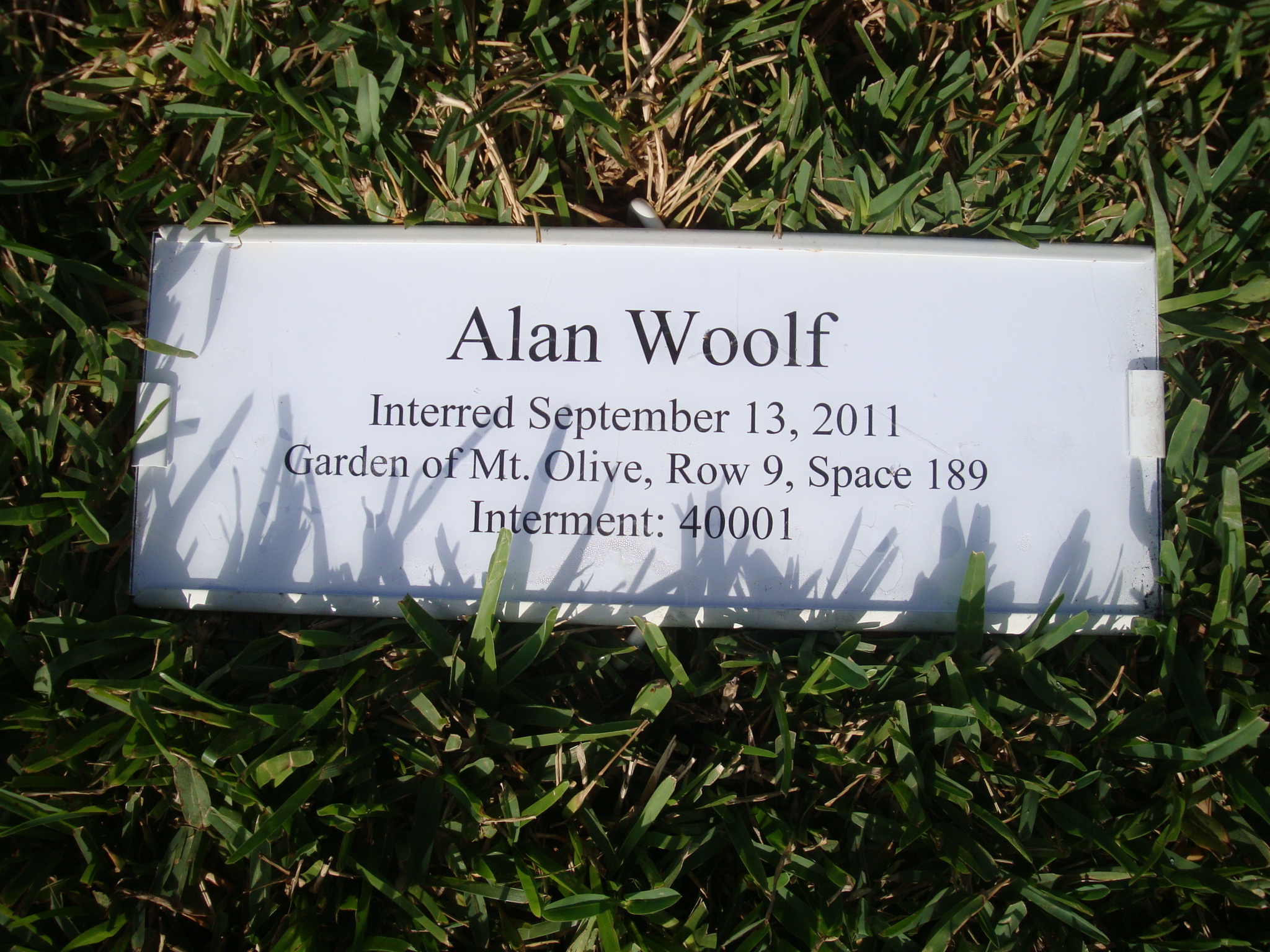 Alan Woolf