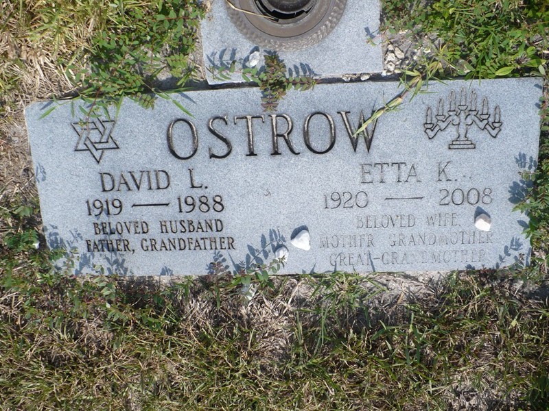 David L Ostrow