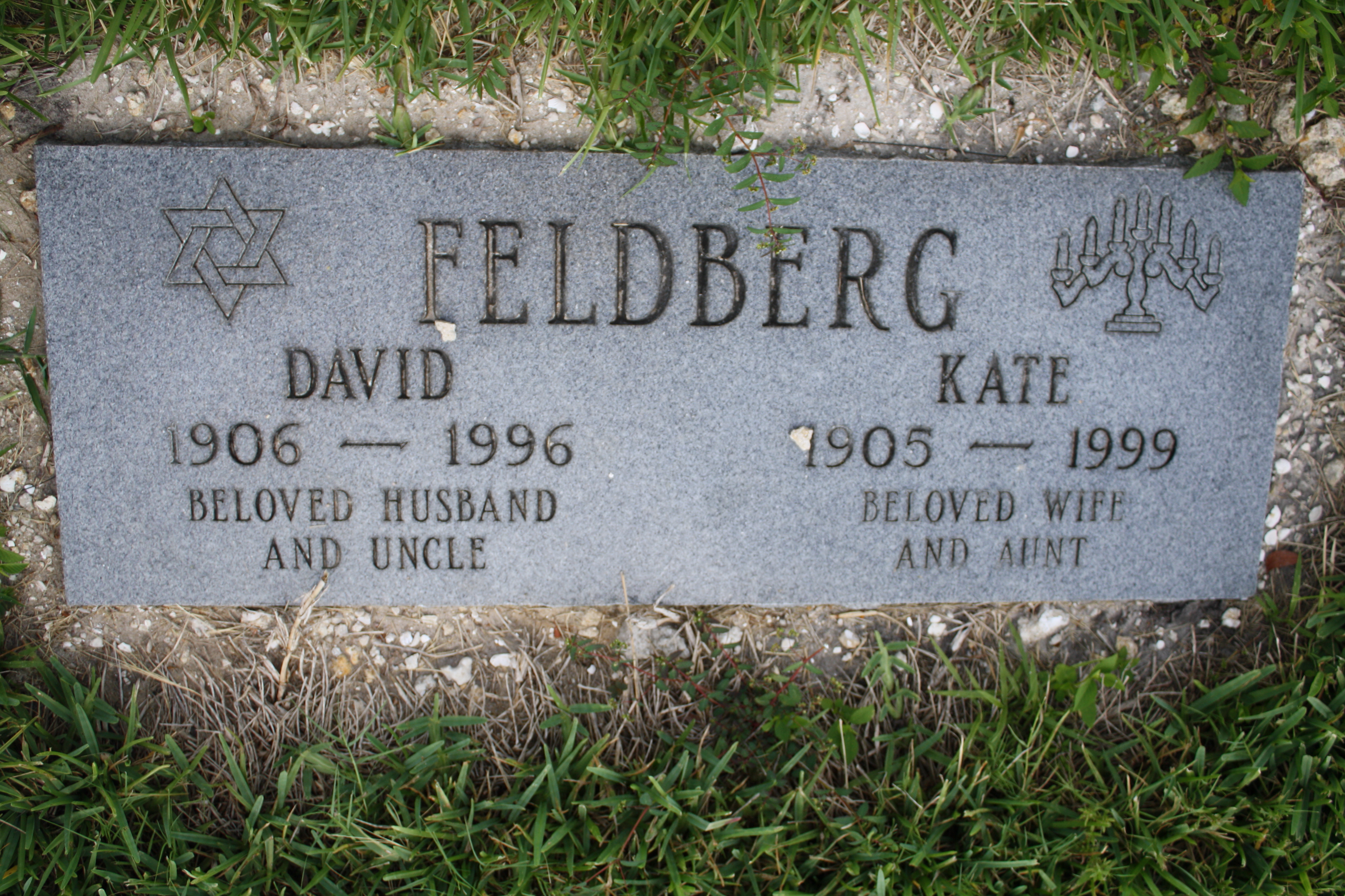 David Feldberg