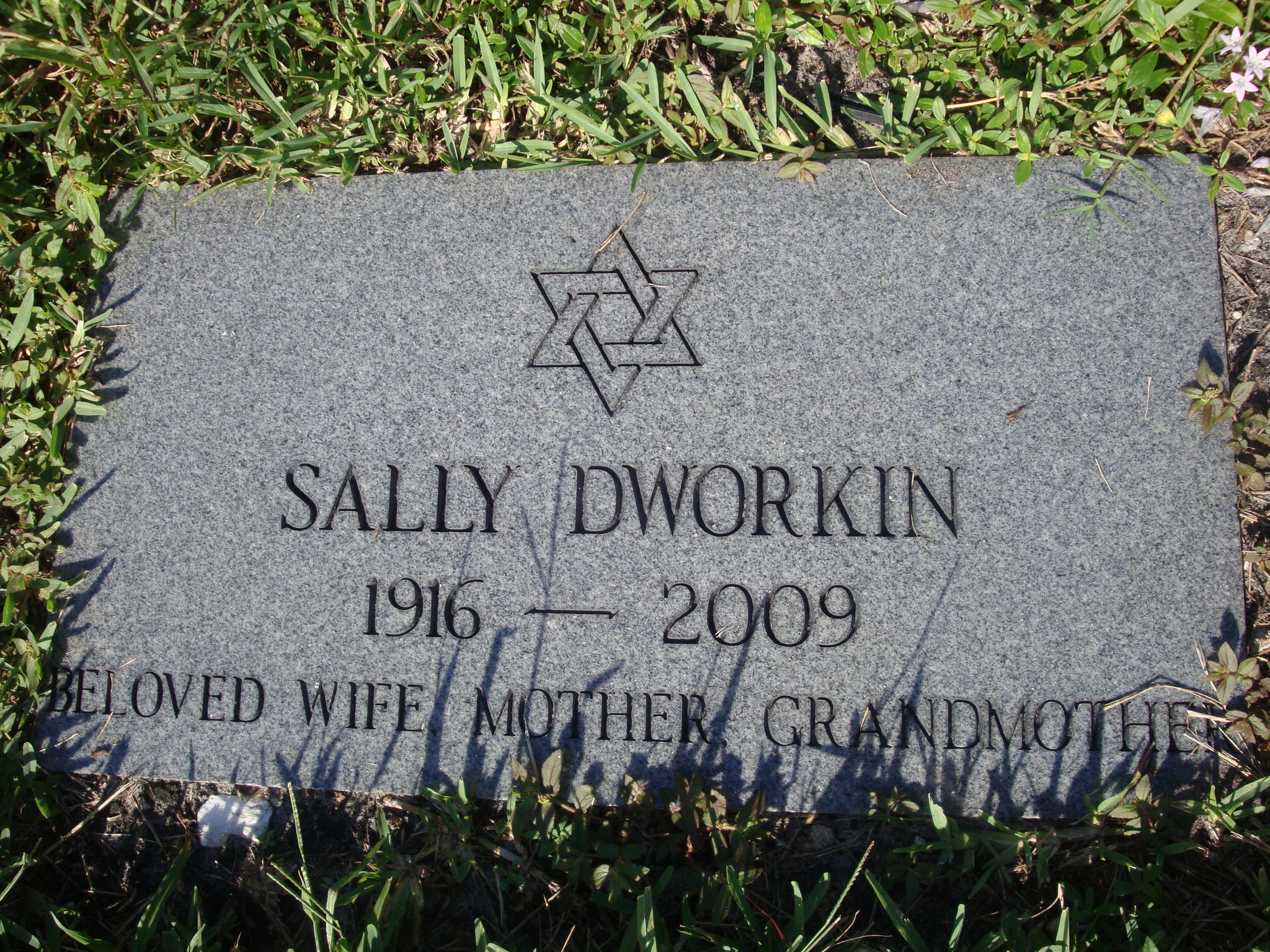 Sally Dworkin