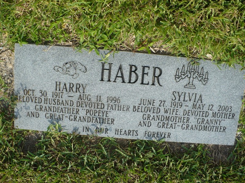 Harry Haber