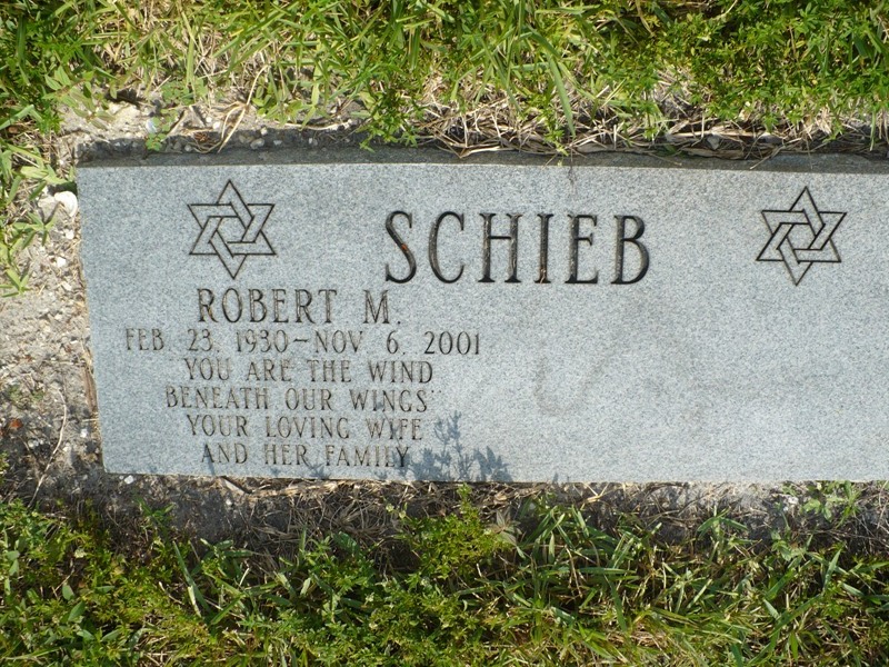 Robert M Schieb