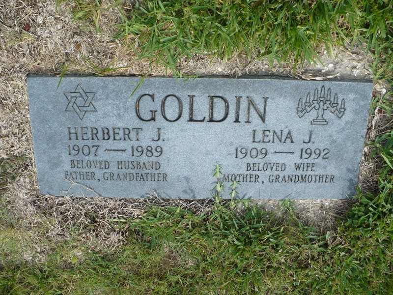 Herbert J Goldin