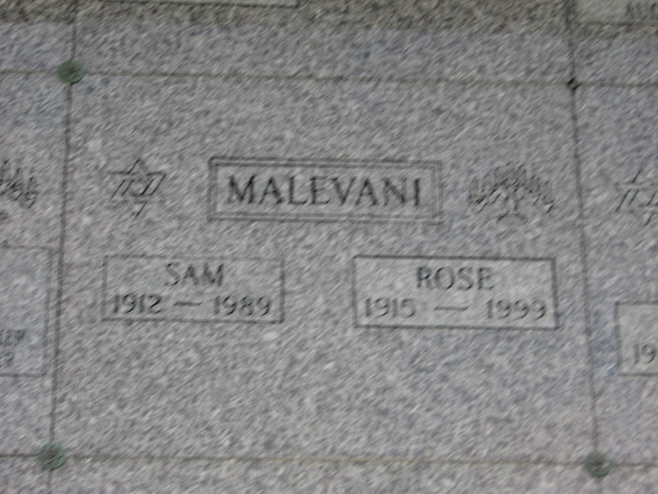 Sam Malevani