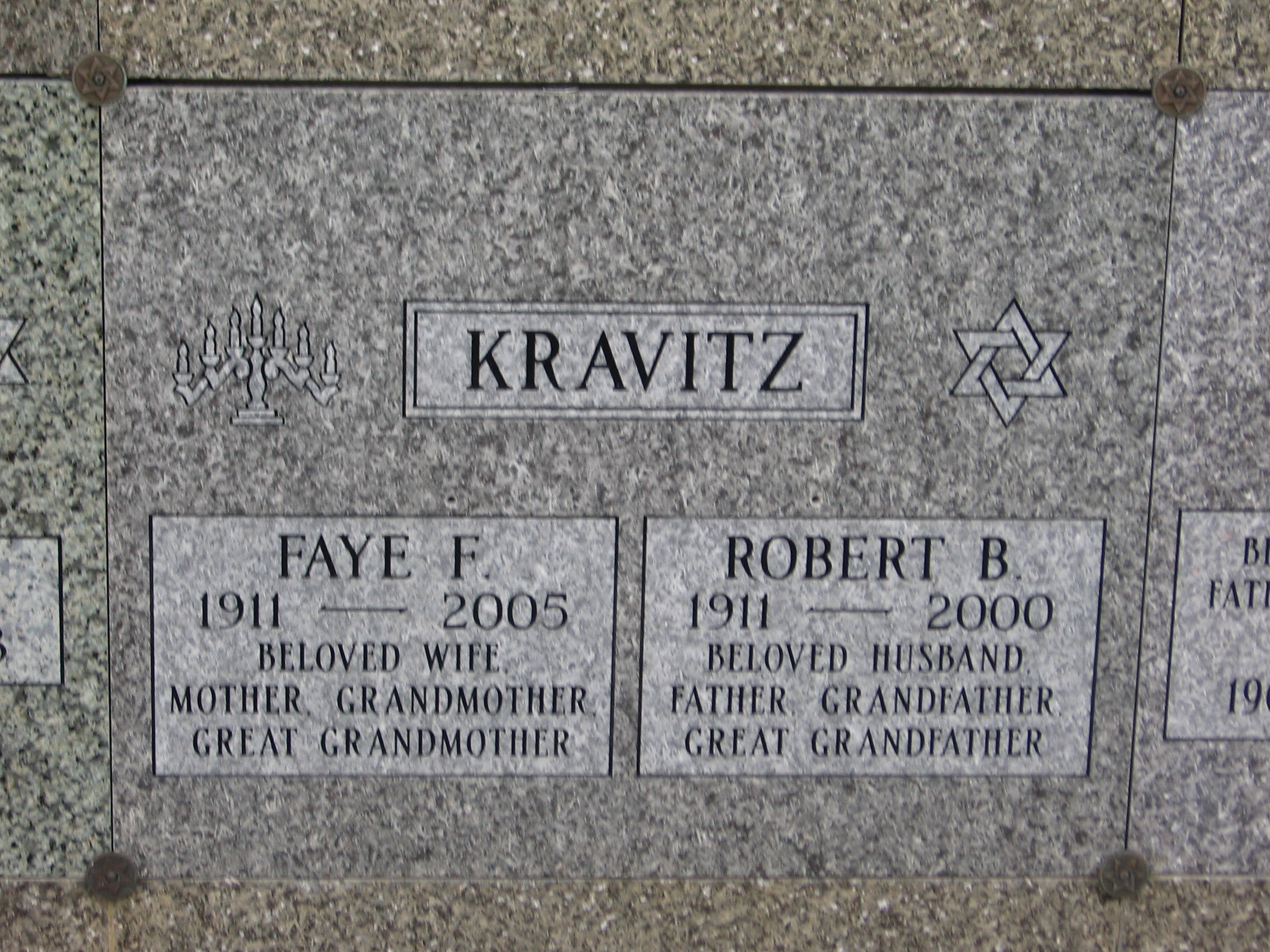 Robert B Kravitz